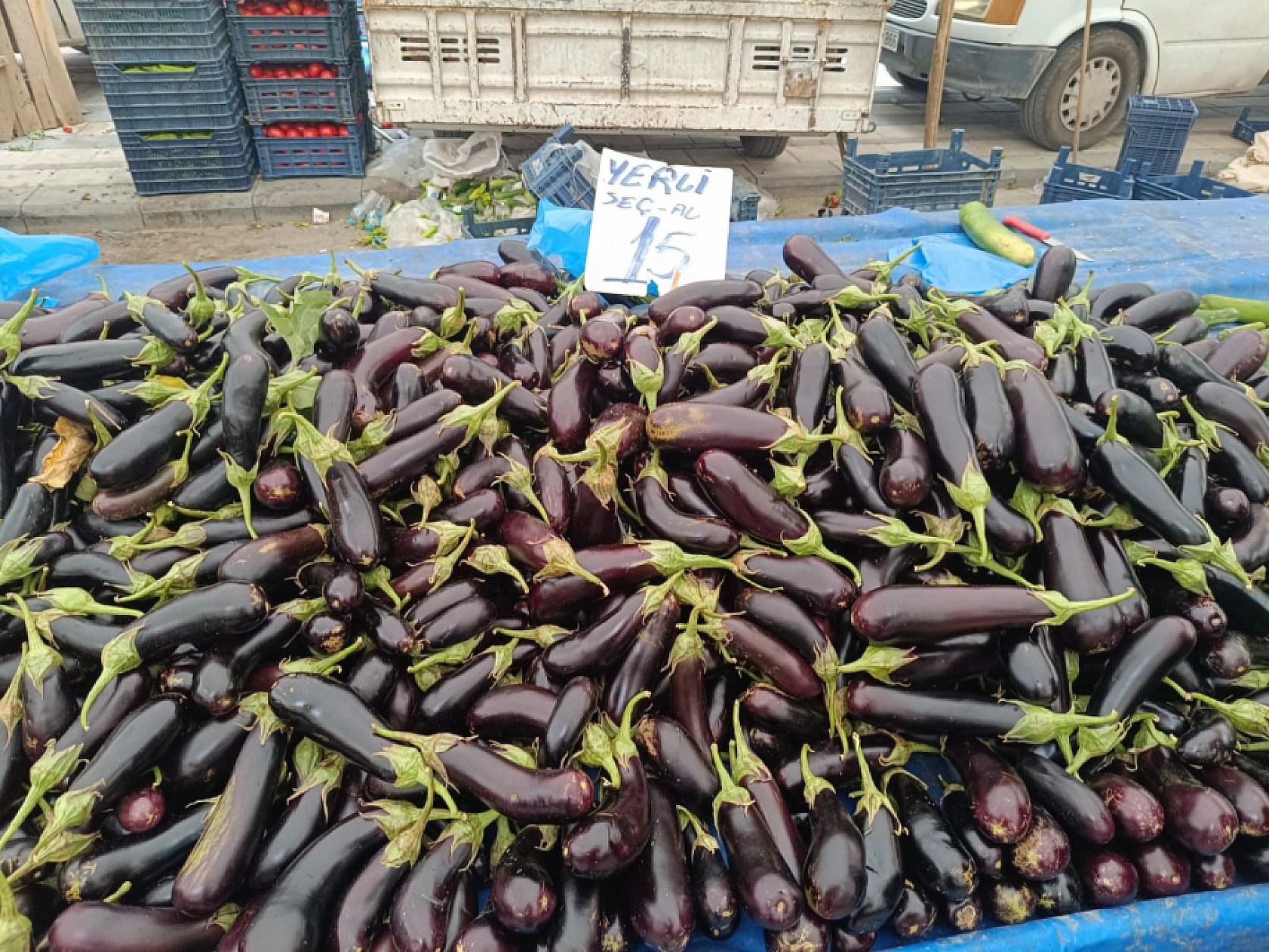 Malatya'da sebze ucuzladı, alışveriş torbaları doldu!