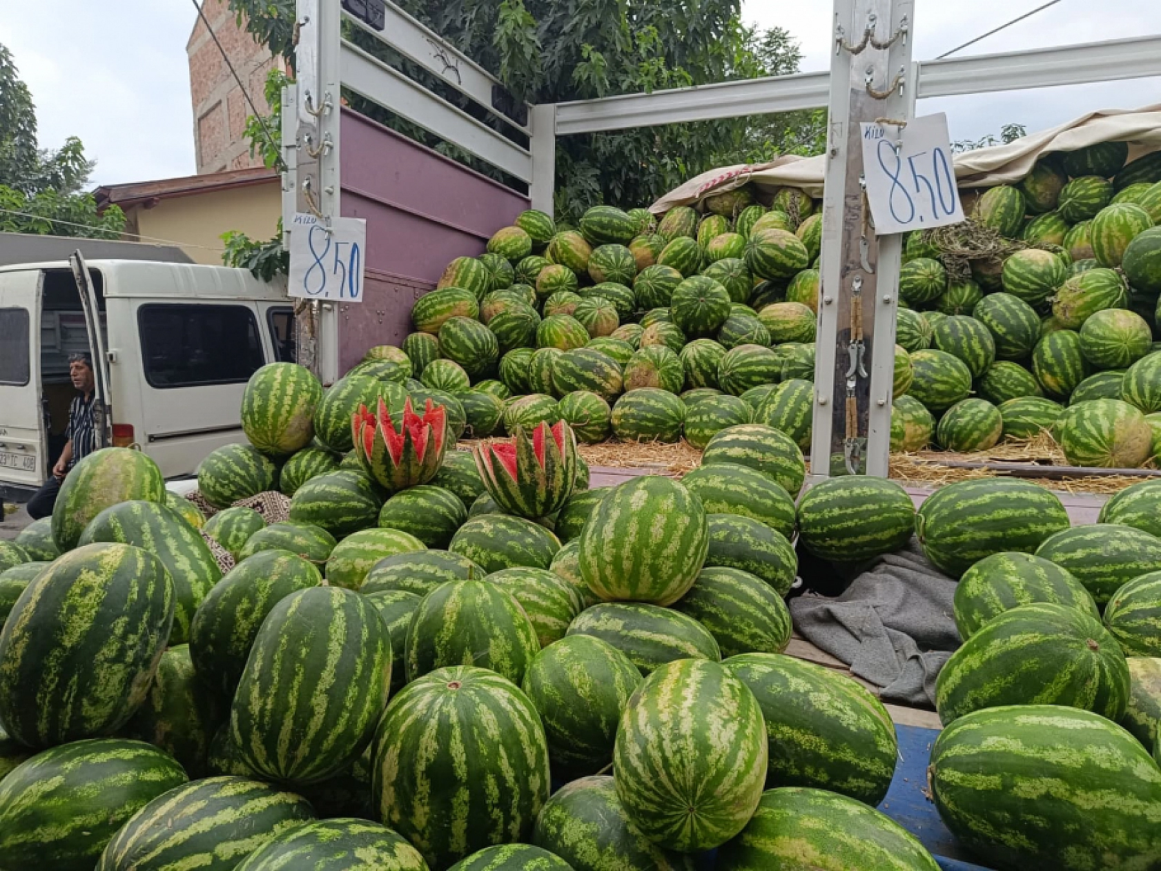 Malatya'da sebze ucuzladı, alışveriş torbaları doldu!
