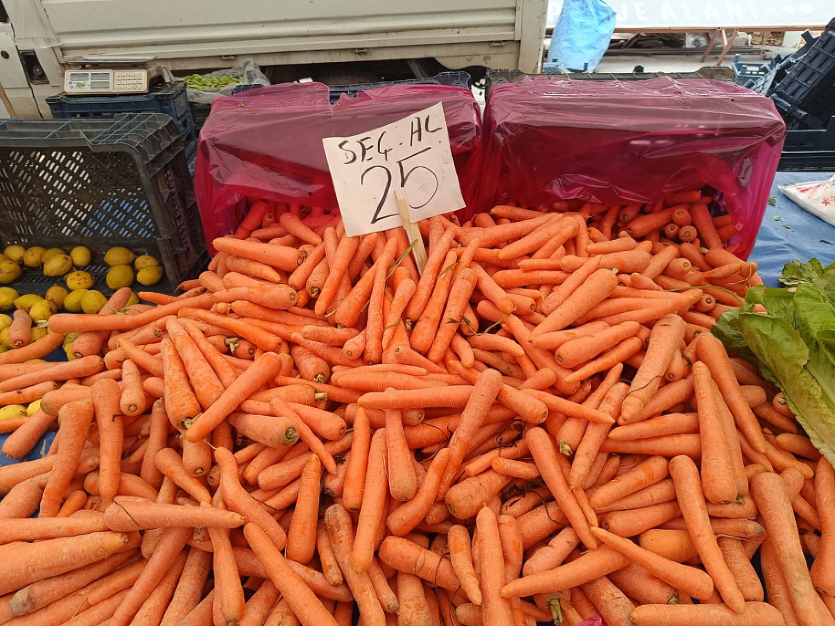 Malatya'da sebze ucuzladı, alışveriş torbaları doldu!