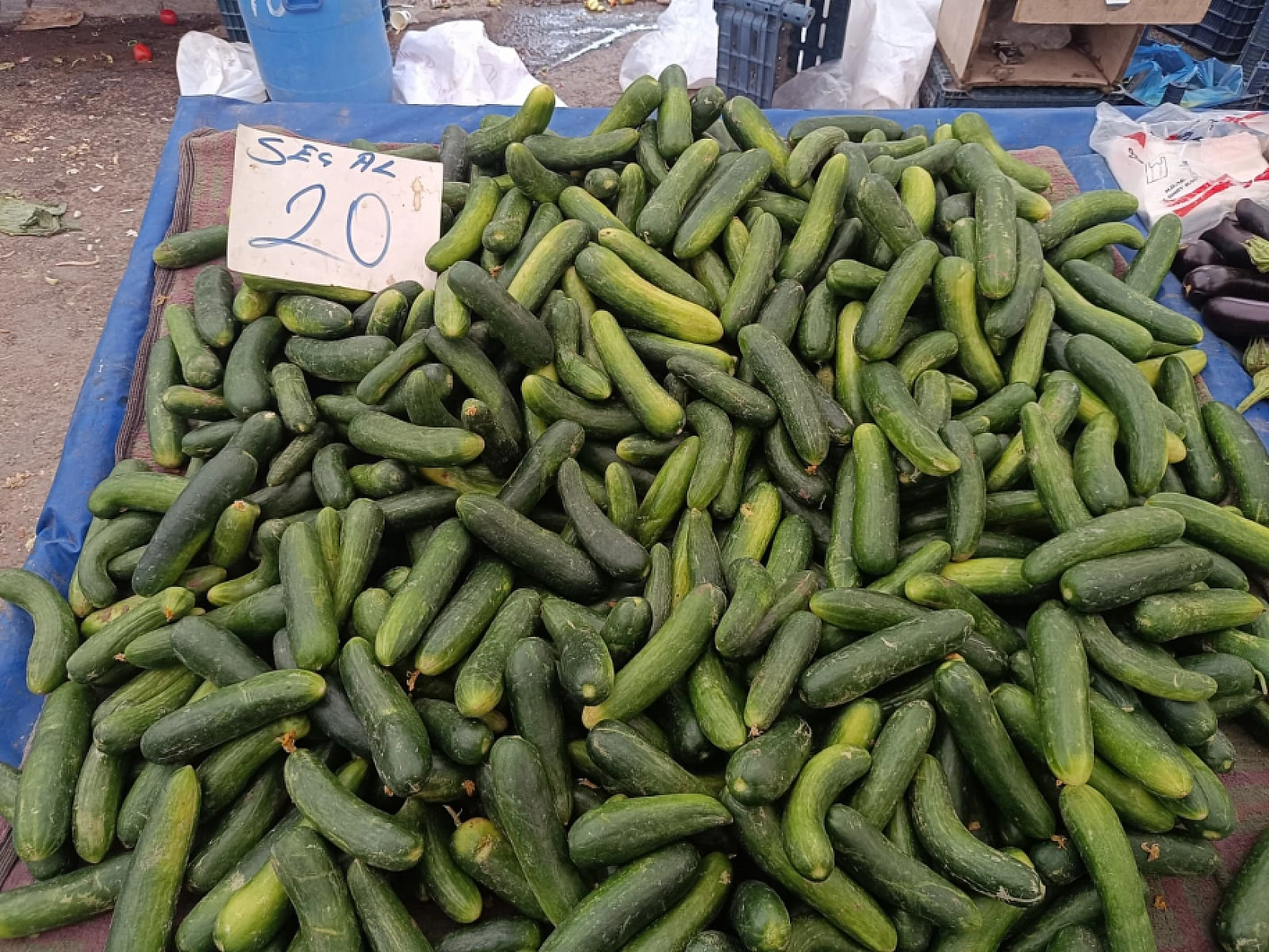 Malatya'da sebze ucuzladı, alışveriş torbaları doldu!