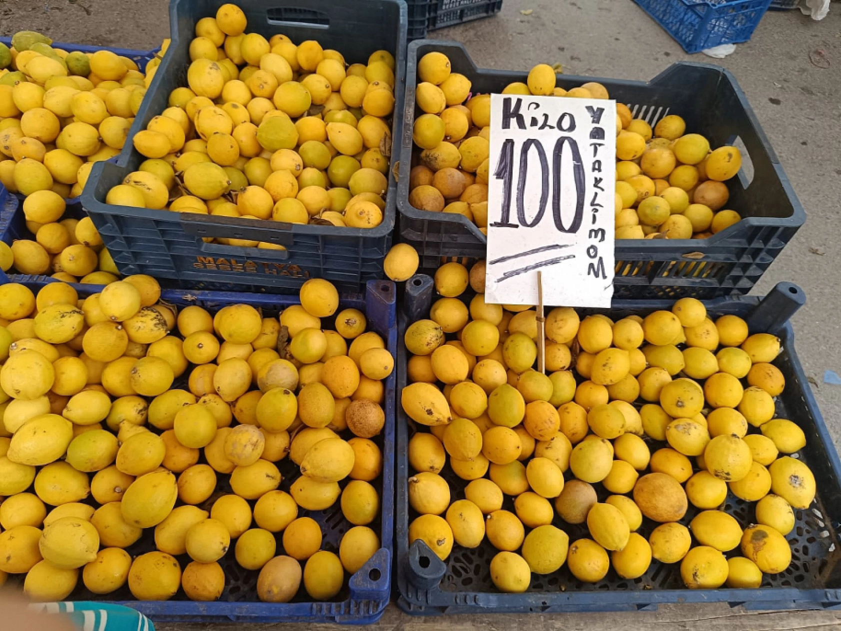 Malatya'da sebze ucuzladı, alışveriş torbaları doldu!