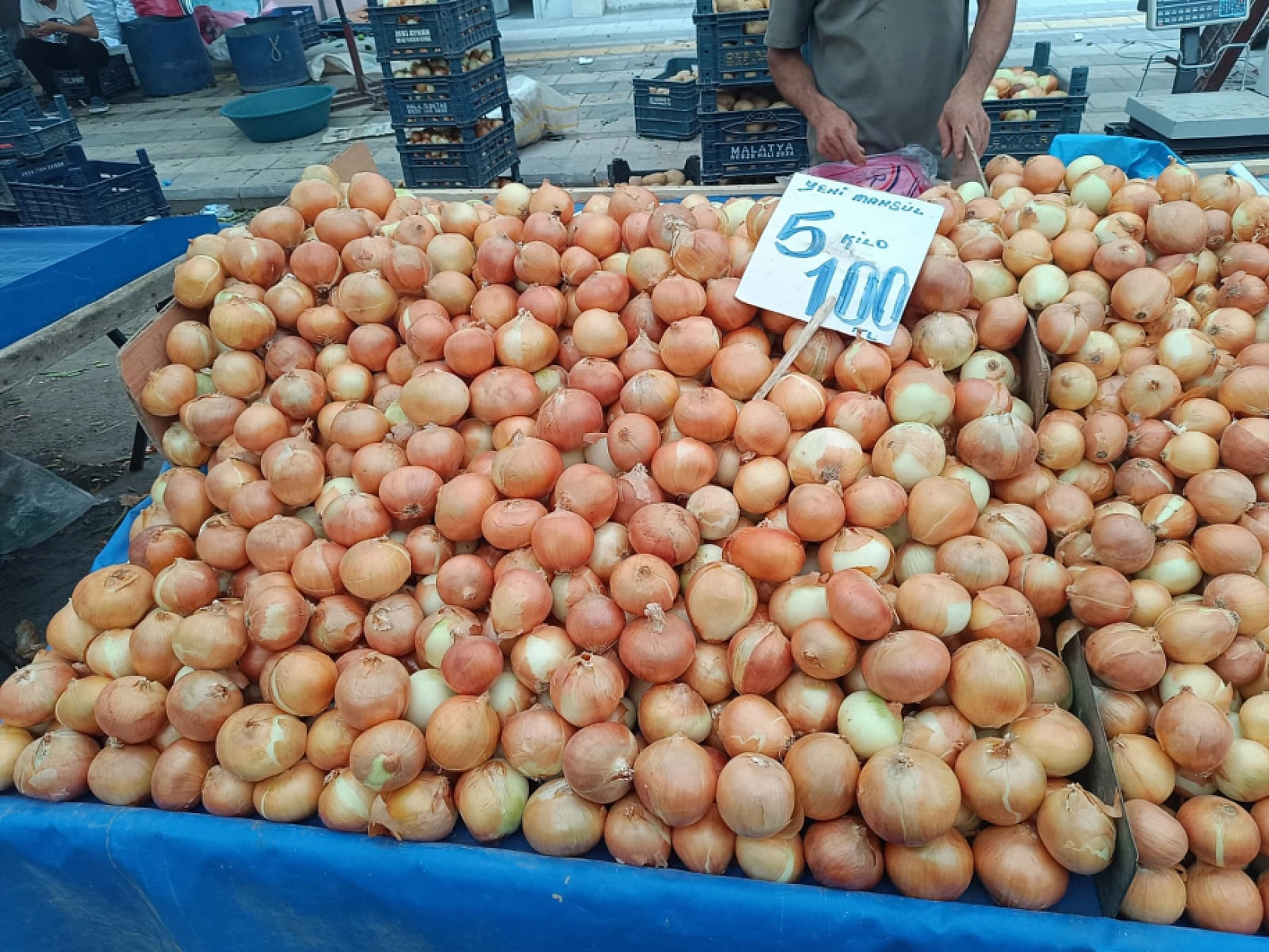 Malatya'da sebze ucuzladı, alışveriş torbaları doldu!
