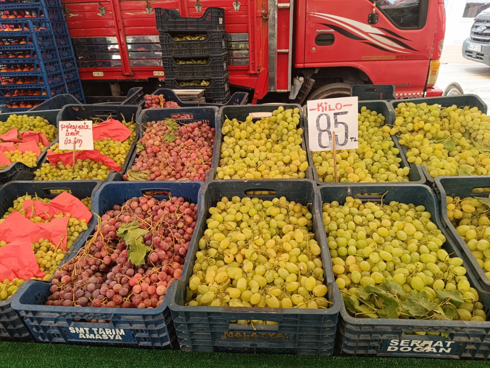 Malatya'da sebze ucuzladı, alışveriş torbaları doldu!