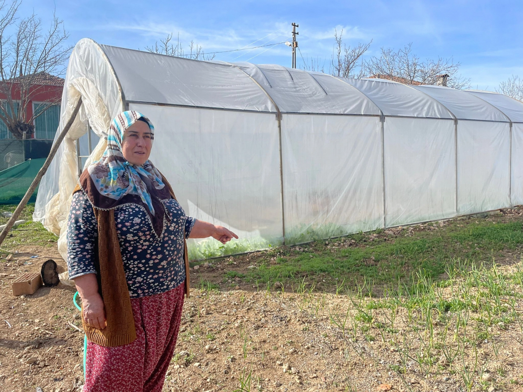 Malatya'da çiftçiler kolları sıvadı! Fideler toprakla buluştu...