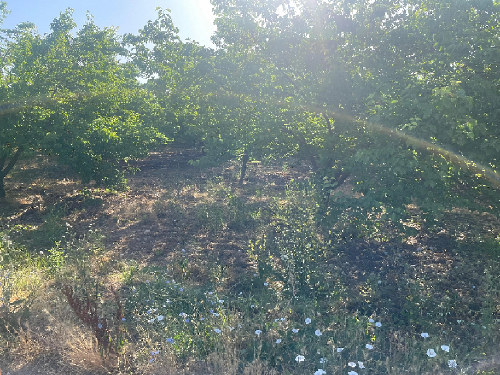 Malatya ve Elazığ Bölgede Birinci...!