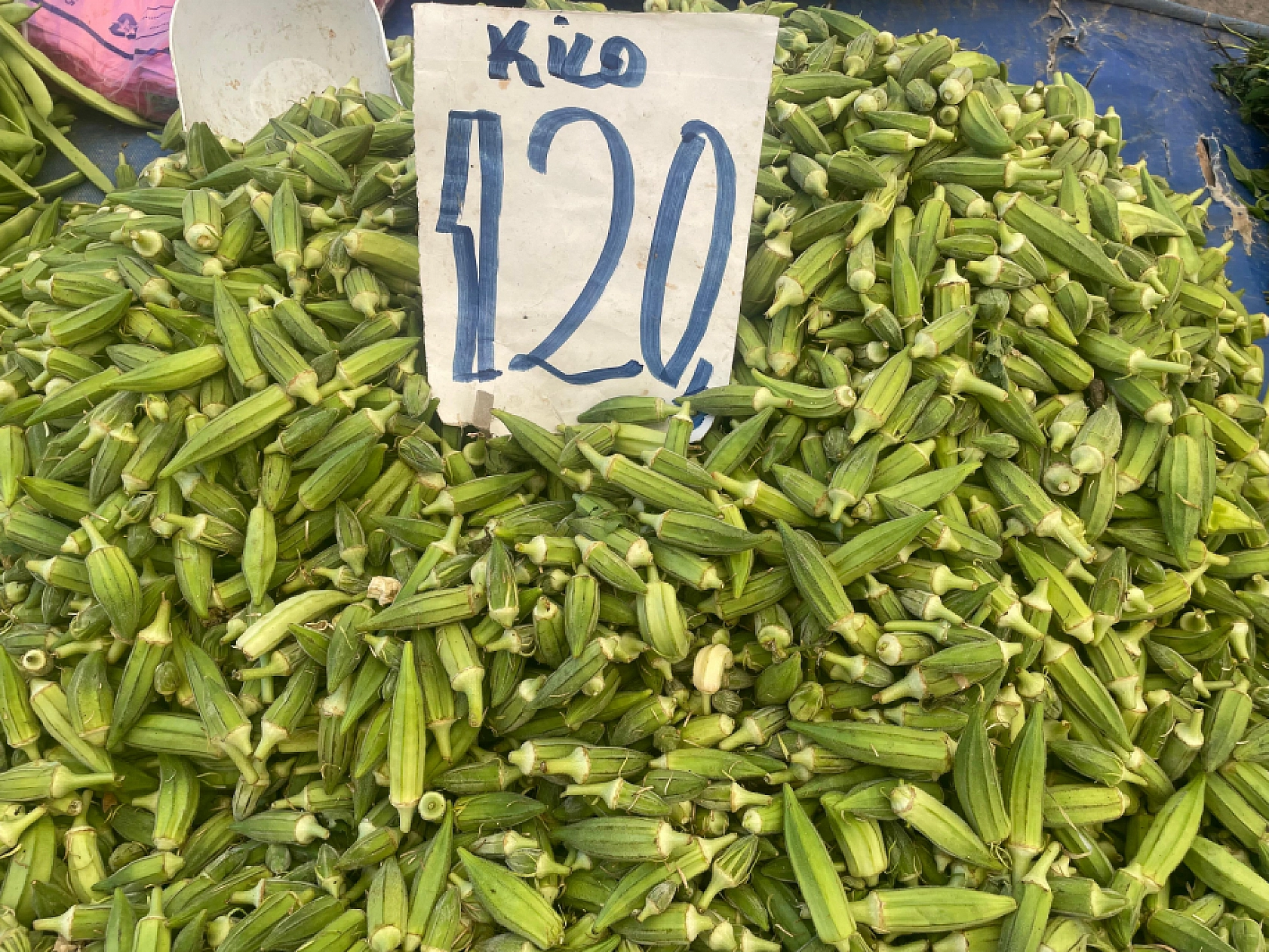 İşte Malatya semt pazarındaki güncel sebze ve meyve fiyatları...