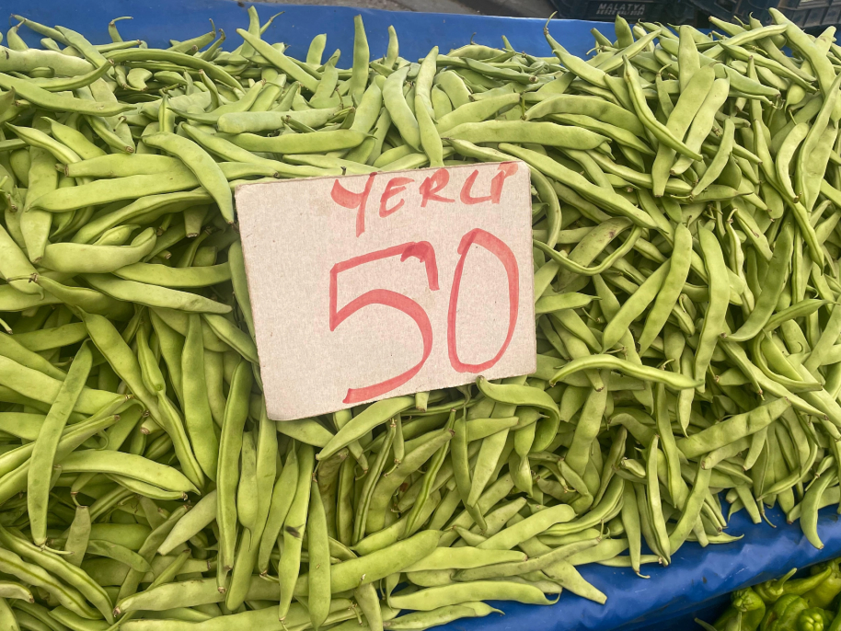 İşte Malatya semt pazarındaki güncel sebze ve meyve fiyatları...