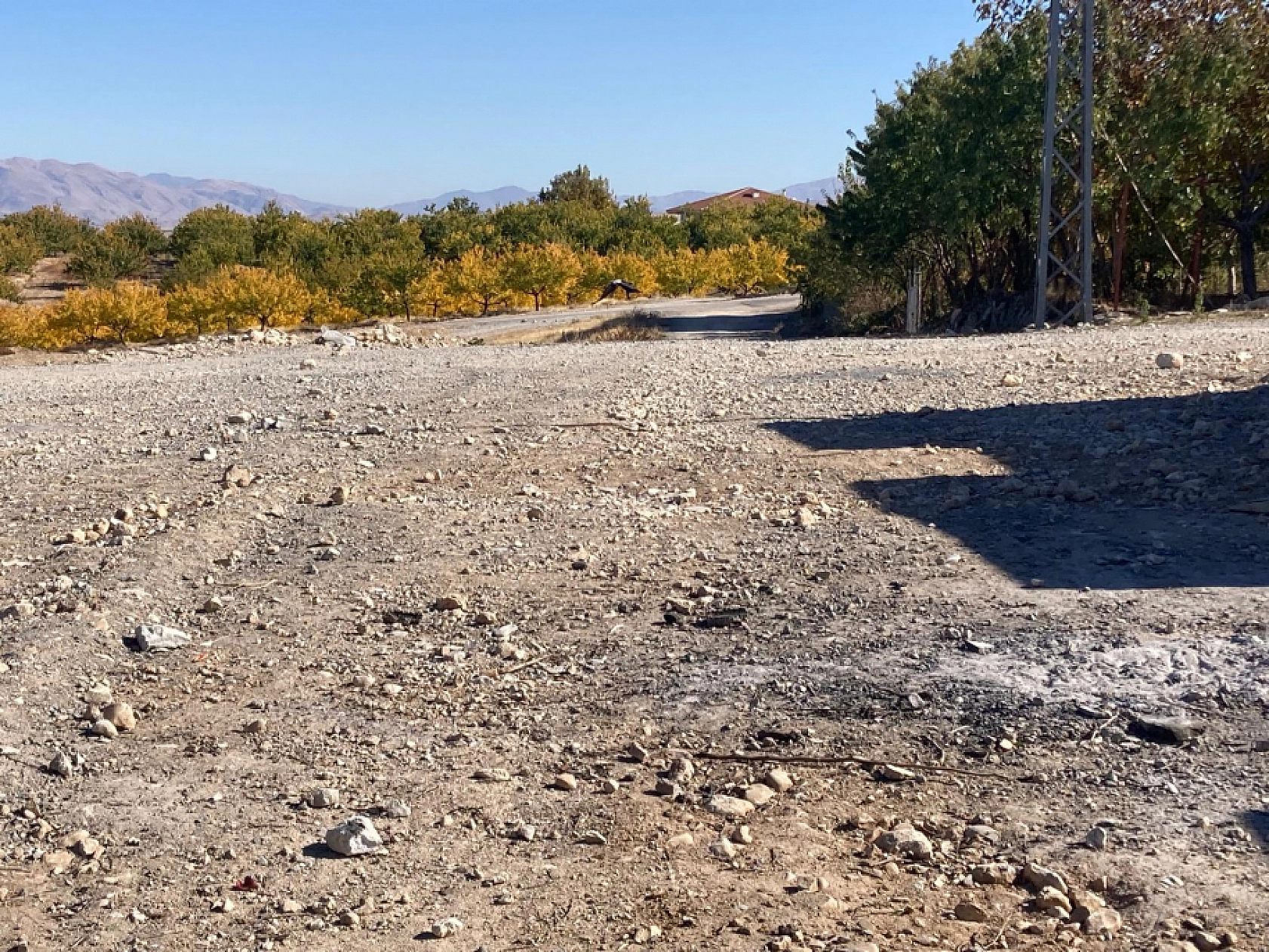 Malatya'da 20 Yıllık İhmal: Bir Mahalle Yok Sayılıyor…!