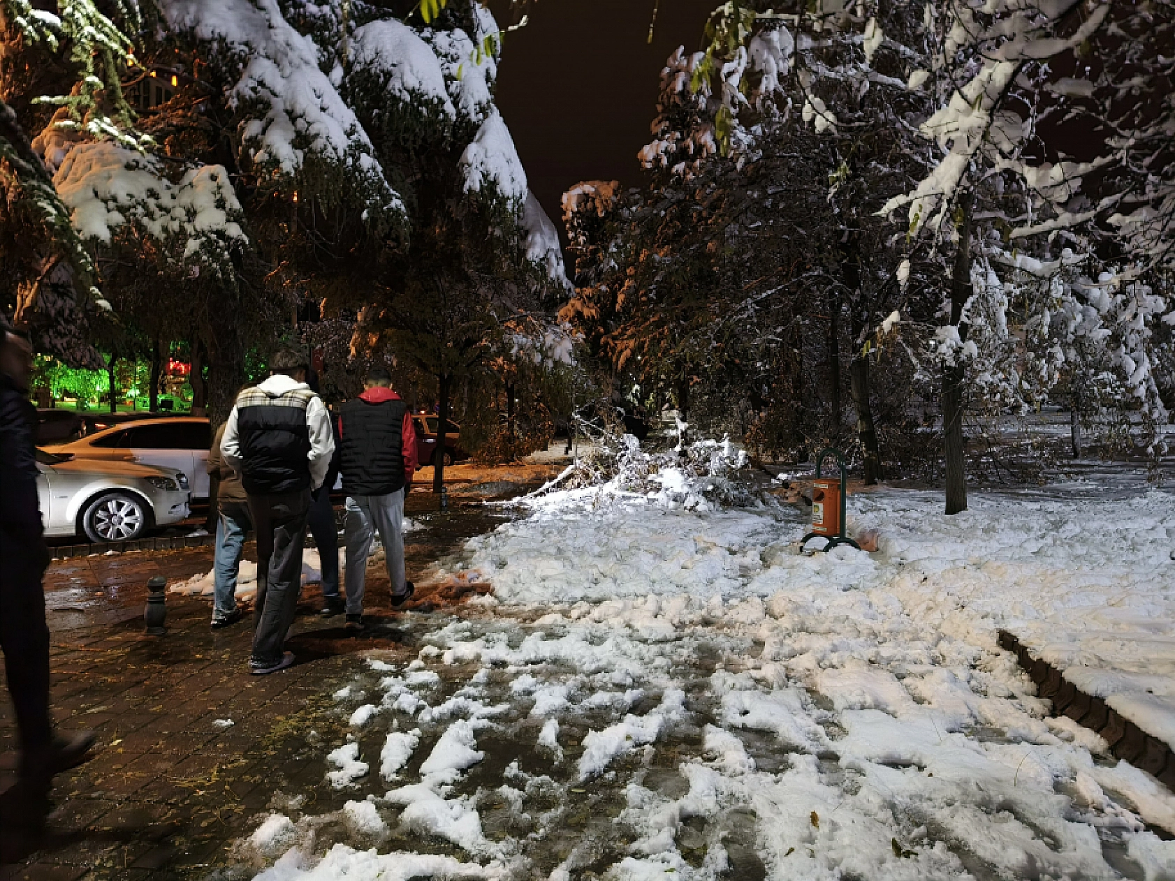 Malatya'da Kar Hayatı Felç Etmeye Devam Ediyor: Ağaç Dalları Kırıldı!