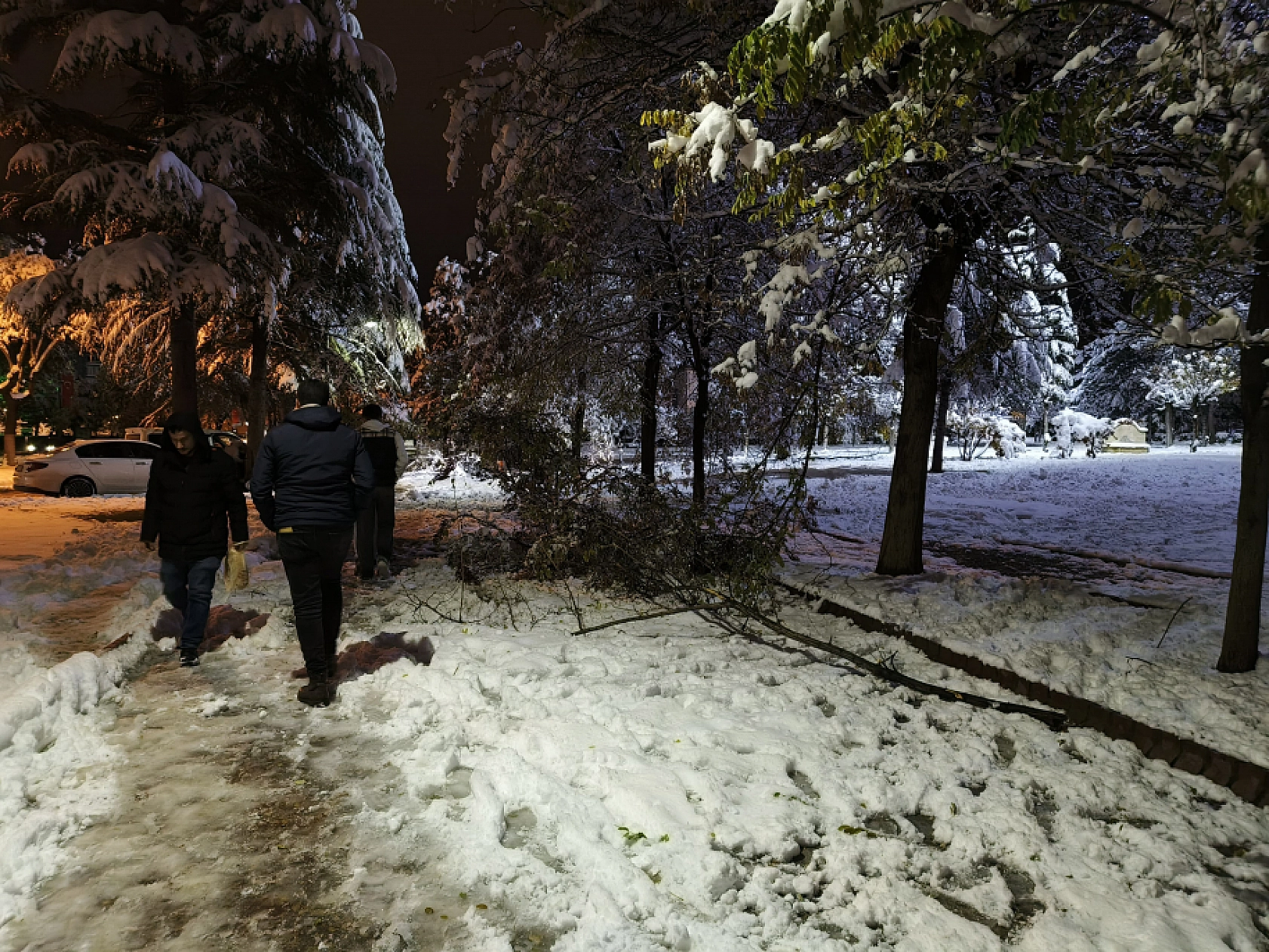 Malatya'da Kar Hayatı Felç Etmeye Devam Ediyor: Ağaç Dalları Kırıldı!