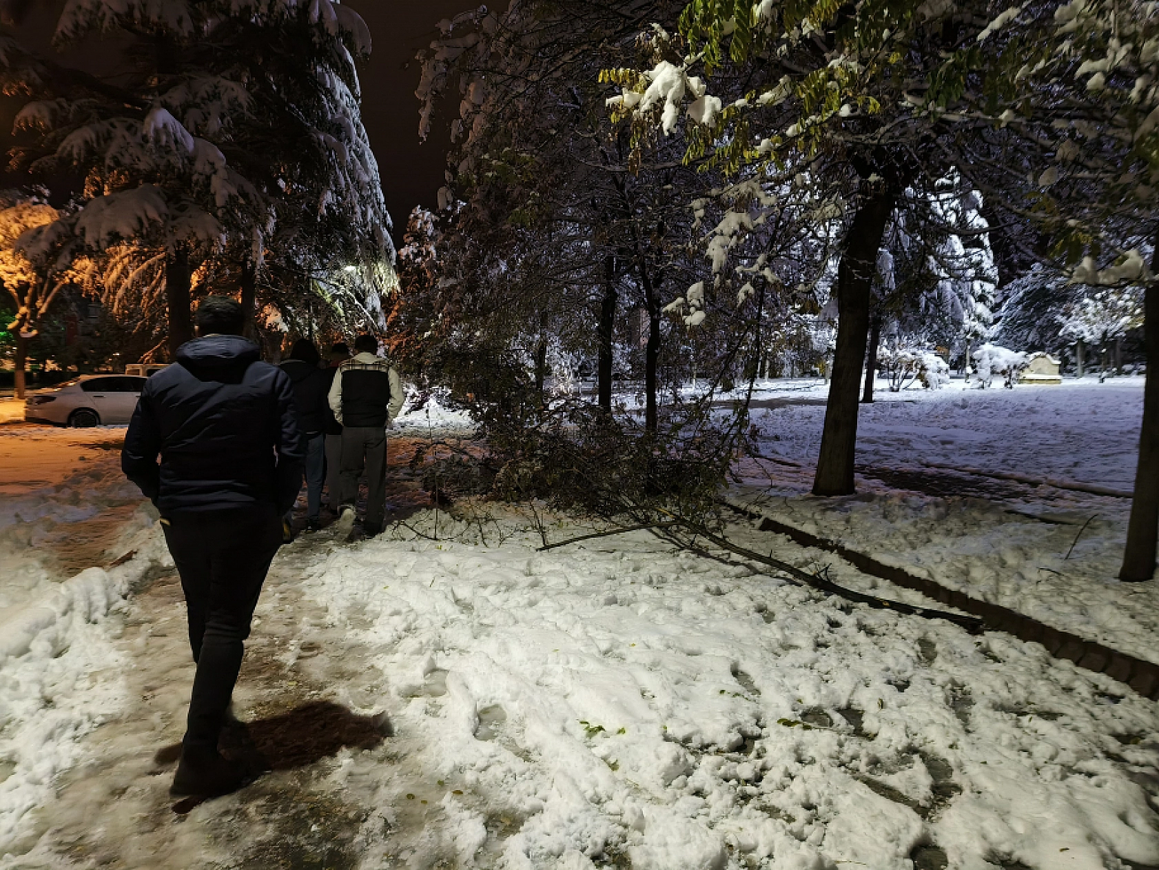 Malatya'da Kar Hayatı Felç Etmeye Devam Ediyor: Ağaç Dalları Kırıldı!