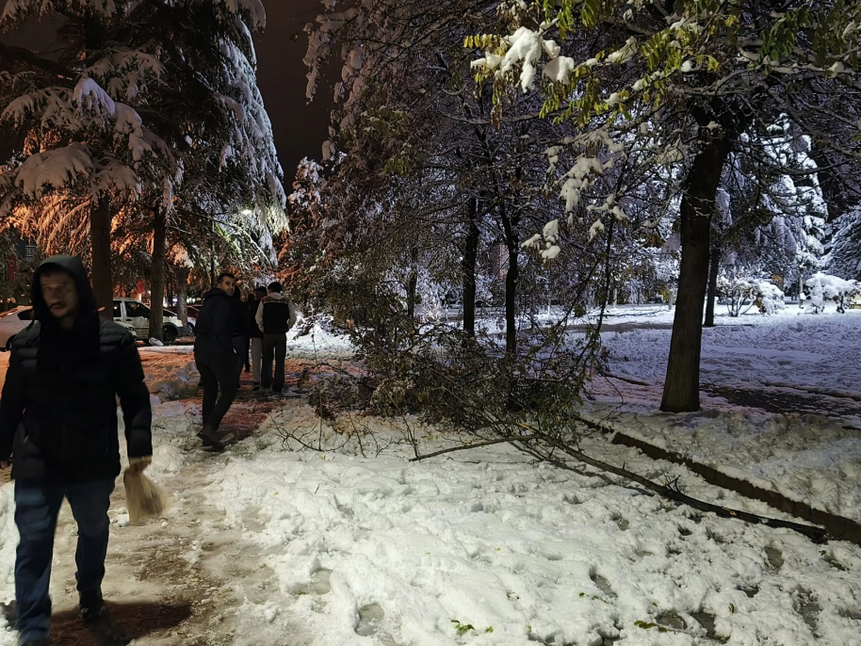 Malatya'da Kar Hayatı Felç Etmeye Devam Ediyor: Ağaç Dalları Kırıldı!