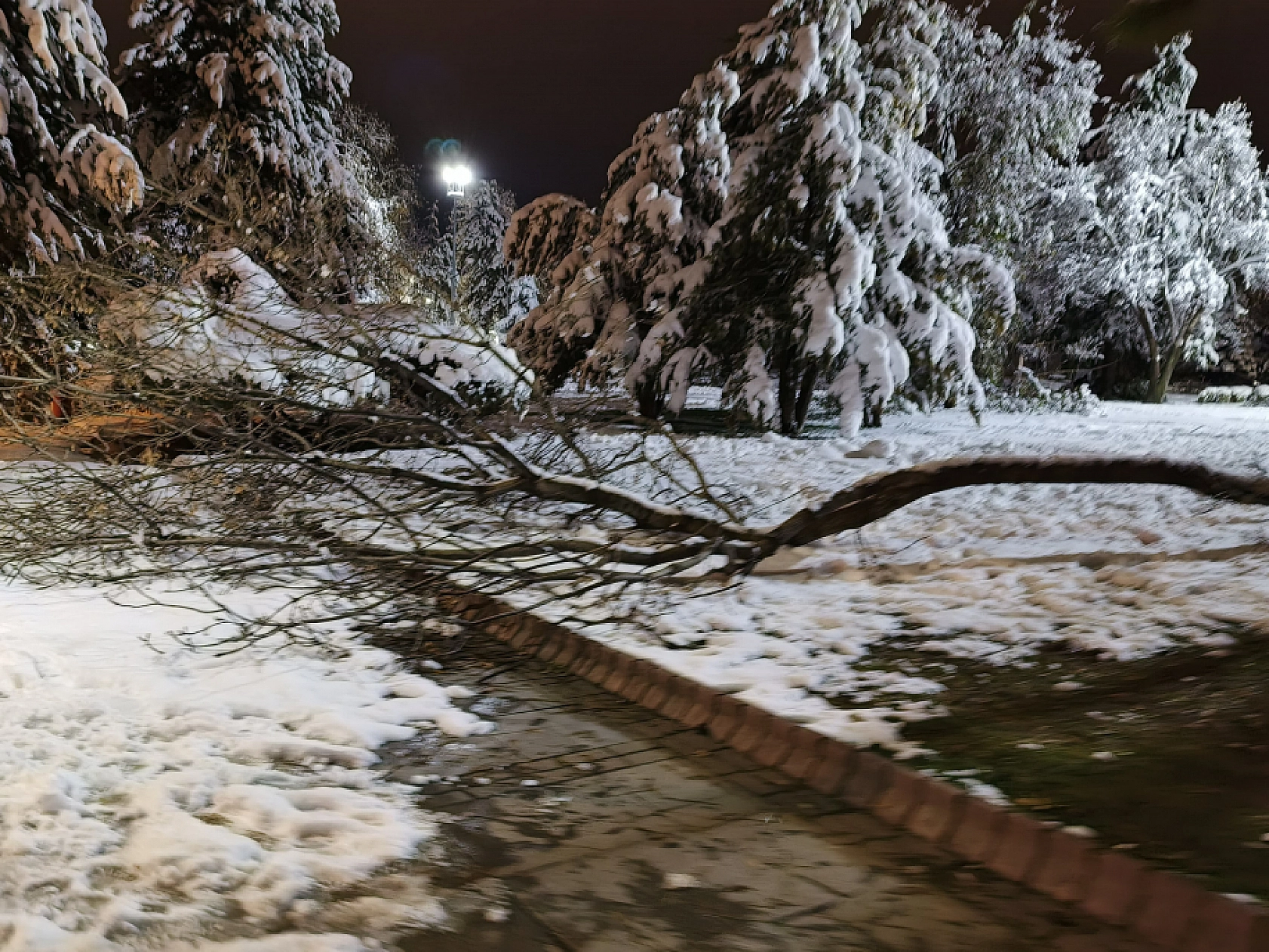 Malatya'da Kar Hayatı Felç Etmeye Devam Ediyor: Ağaç Dalları Kırıldı!