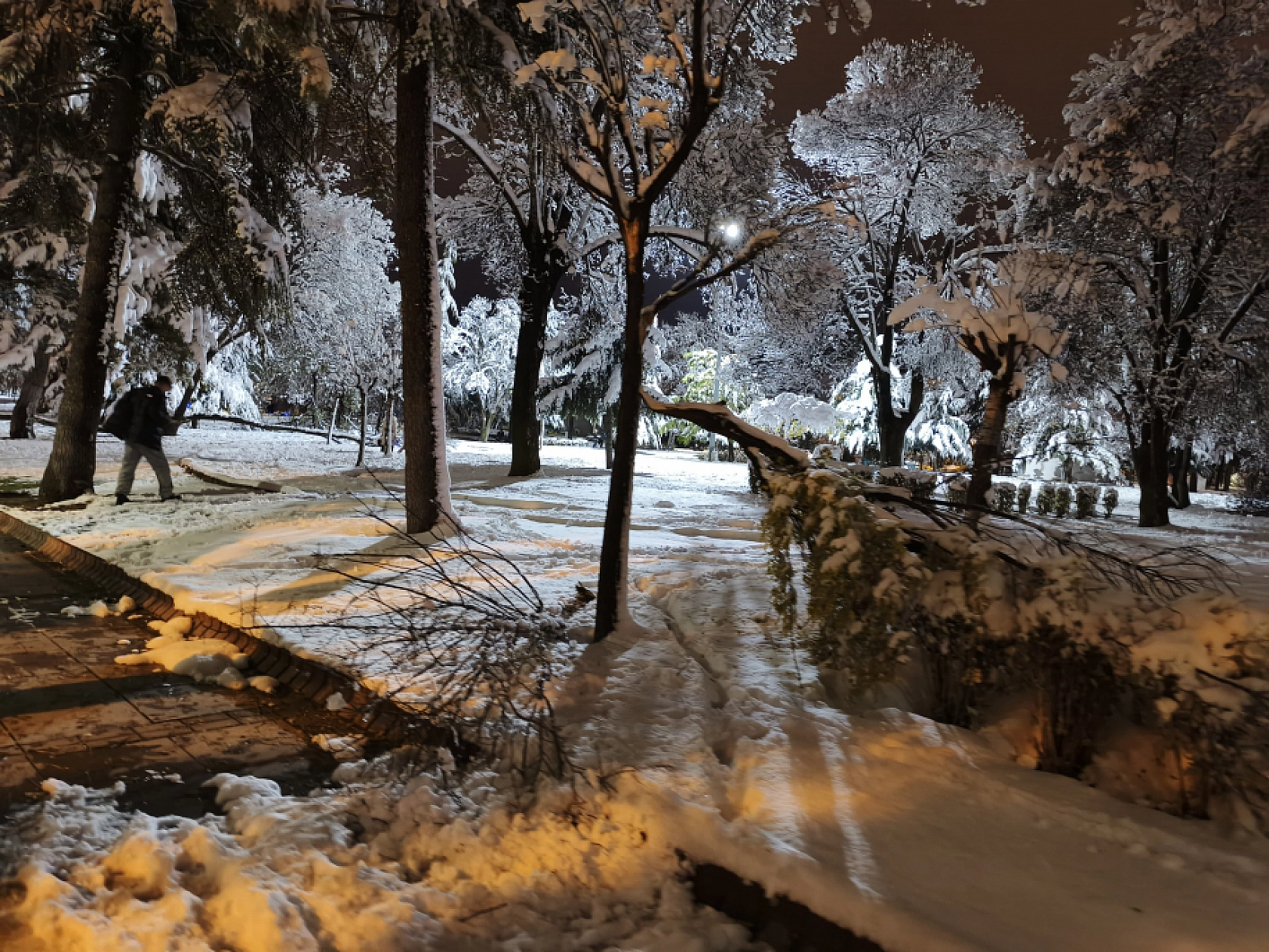 Malatya'da Kar Hayatı Felç Etmeye Devam Ediyor: Ağaç Dalları Kırıldı!