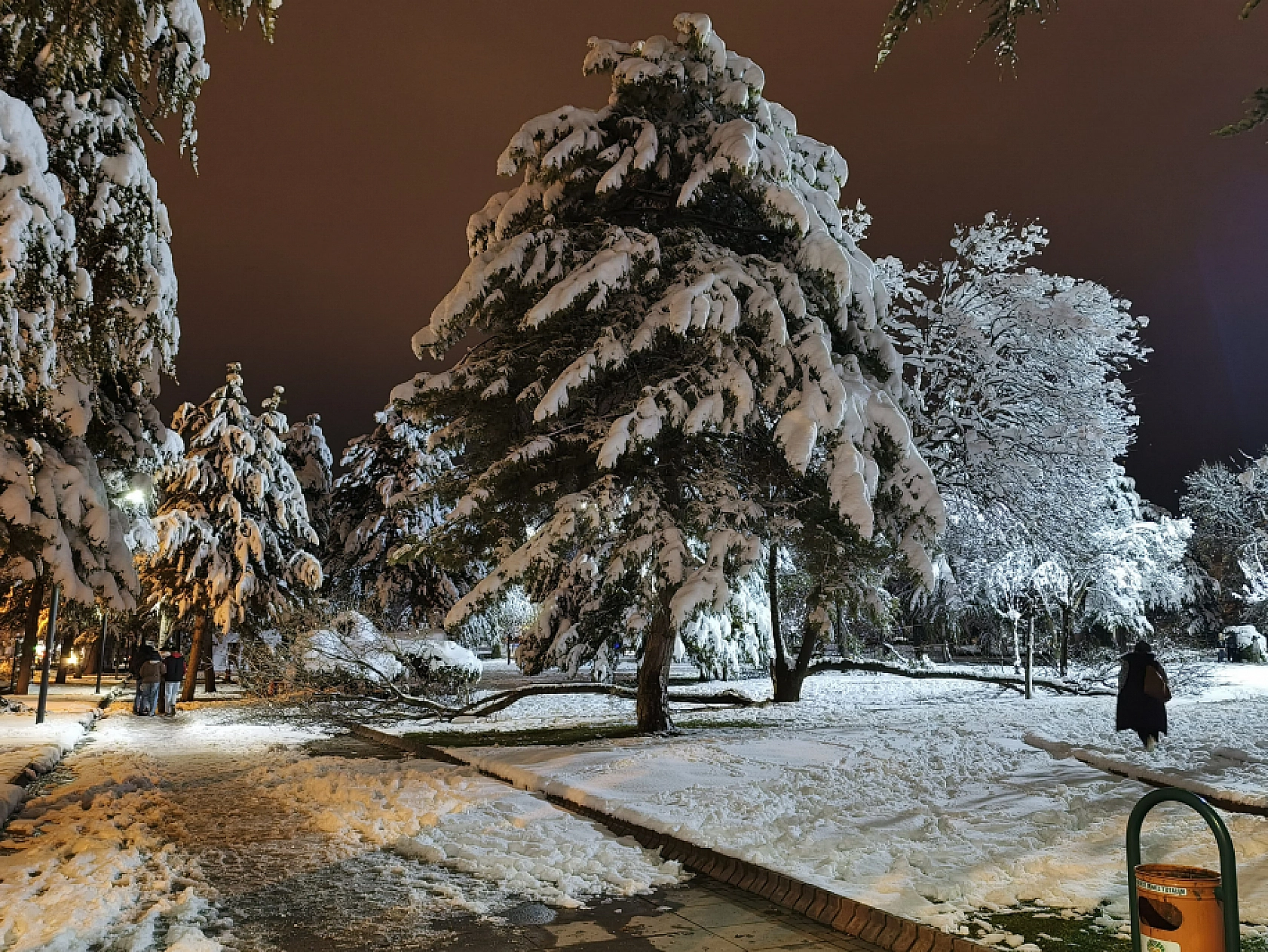 Malatya'da Kar Hayatı Felç Etmeye Devam Ediyor: Ağaç Dalları Kırıldı!