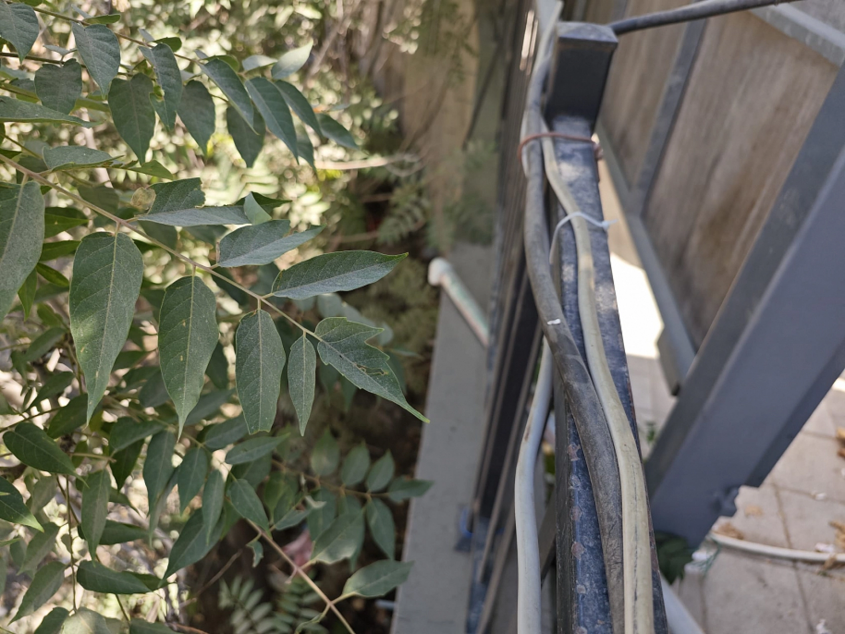 Malatya'da Esnafın Çilesi: 6 aydır pis koku ve sineklerle baş başa!