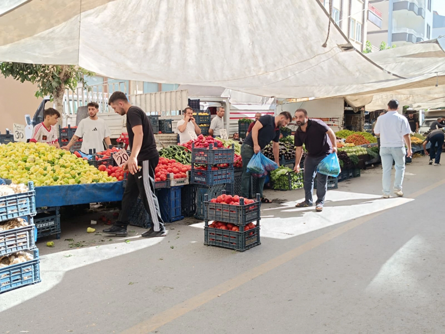 Malatya'da kurutmalık ve salçalık domates ile biber tezgahlarda yerini aldı! Peki fiyatları ne kadar?