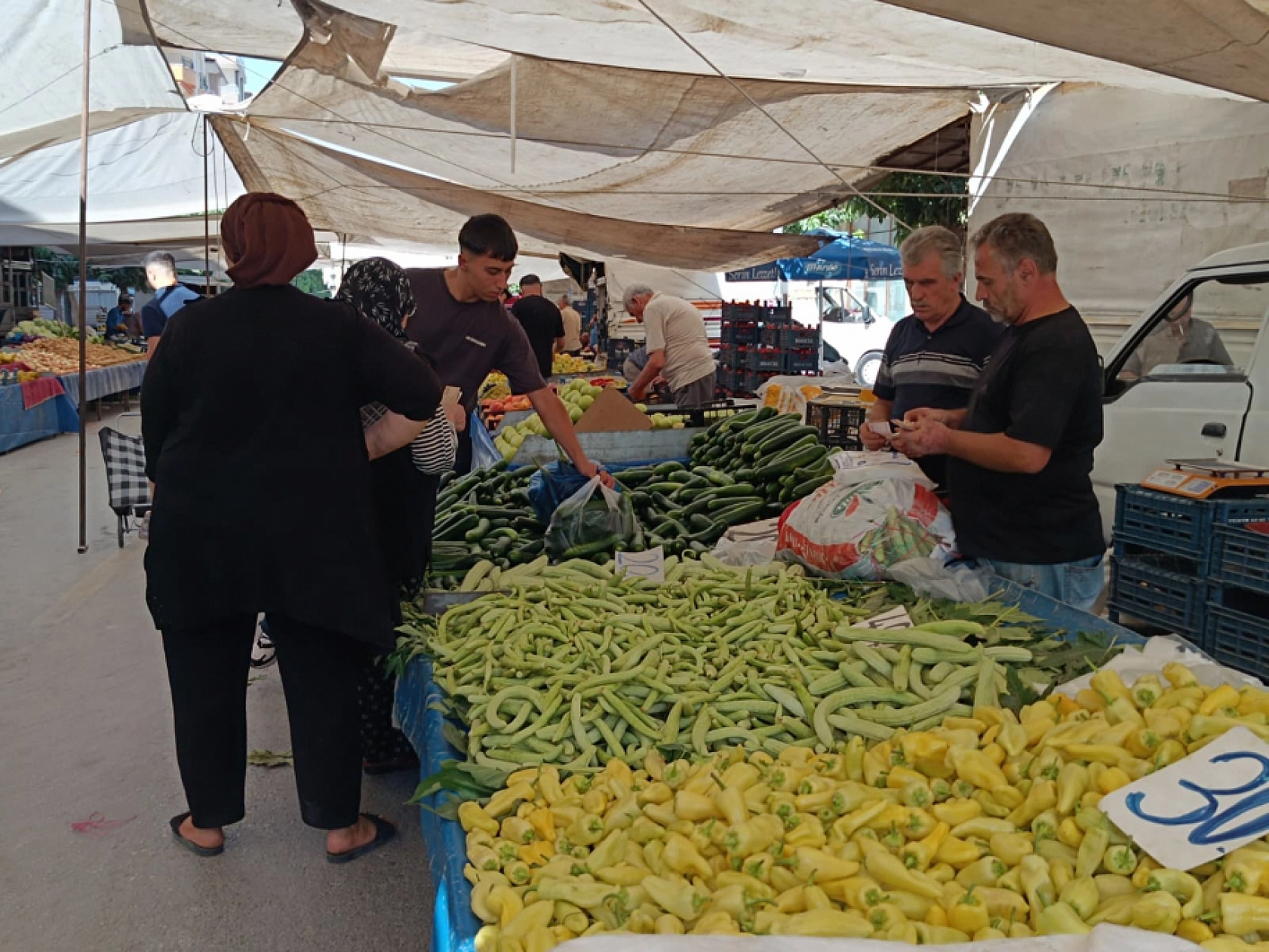 Malatya'da kurutmalık ve salçalık domates ile biber tezgahlarda yerini aldı! Peki fiyatları ne kadar?