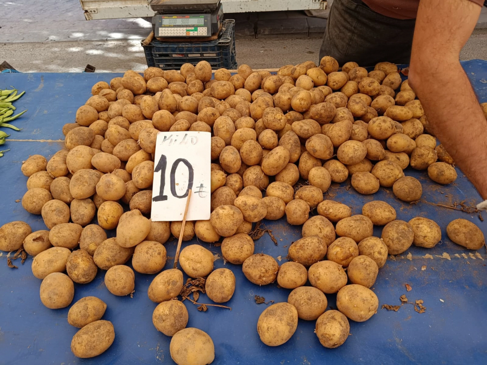 Malatya'da kurutmalık ve salçalık domates ile biber tezgahlarda yerini aldı! Peki fiyatları ne kadar?