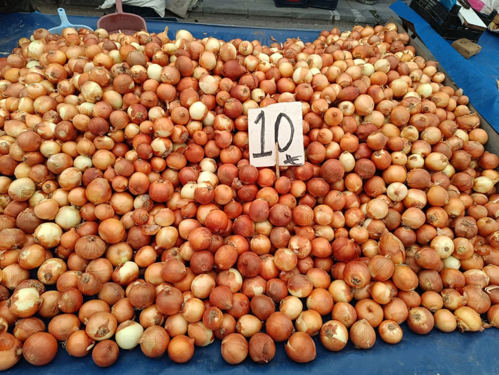 Malatya'da kurutmalık ve salçalık domates ile biber tezgahlarda yerini aldı! Peki fiyatları ne kadar?