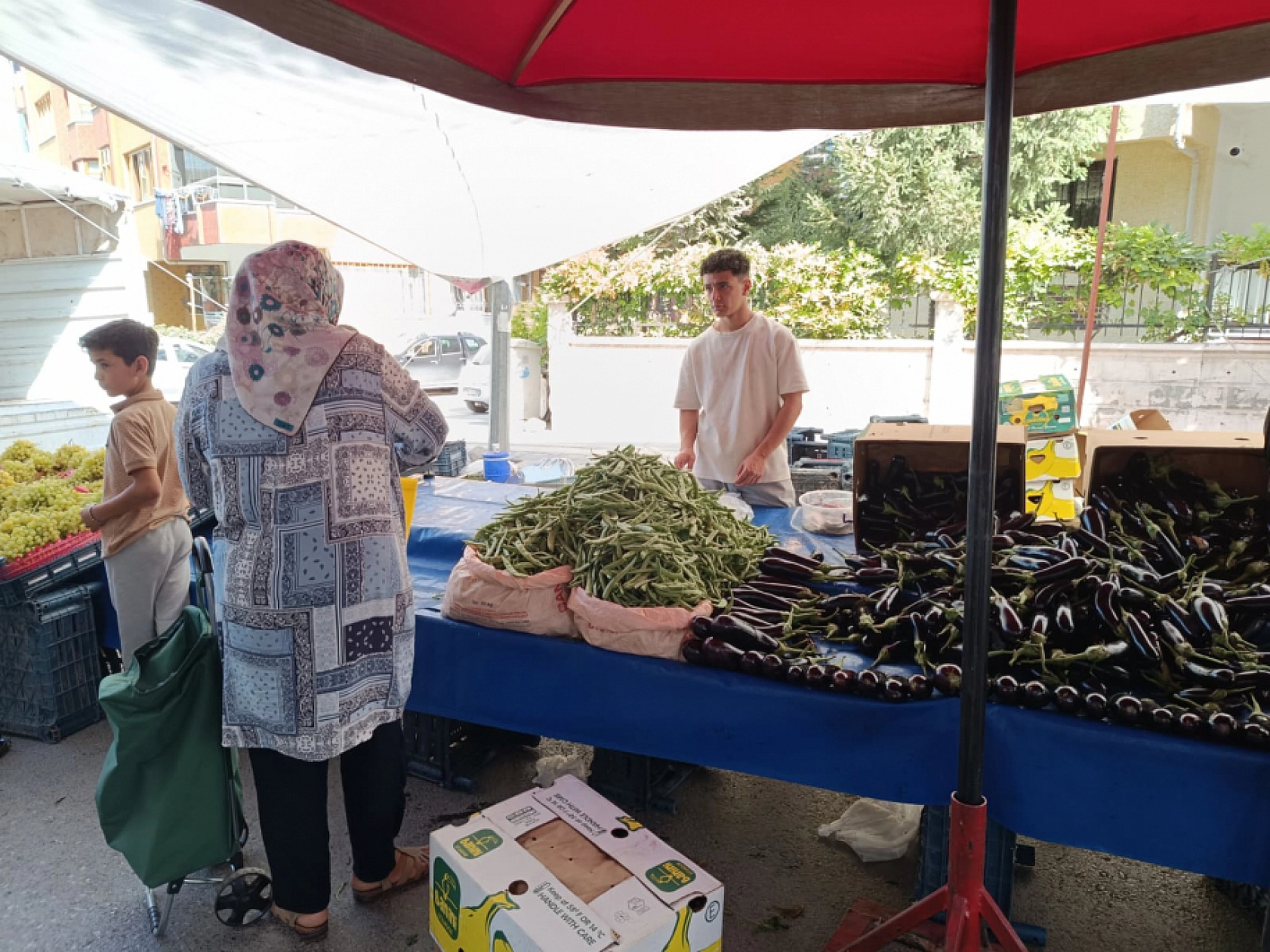 Malatya'da kurutmalık ve salçalık domates ile biber tezgahlarda yerini aldı! Peki fiyatları ne kadar?