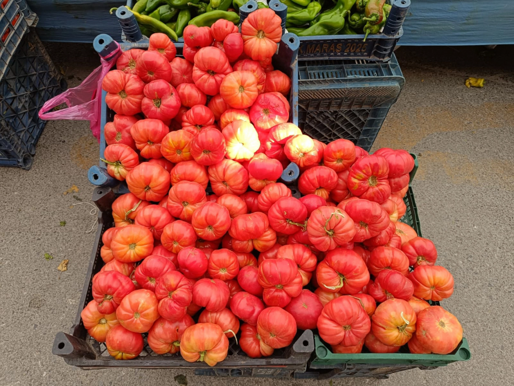 Malatya'da kurutmalık ve salçalık domates ile biber tezgahlarda yerini aldı! Peki fiyatları ne kadar?