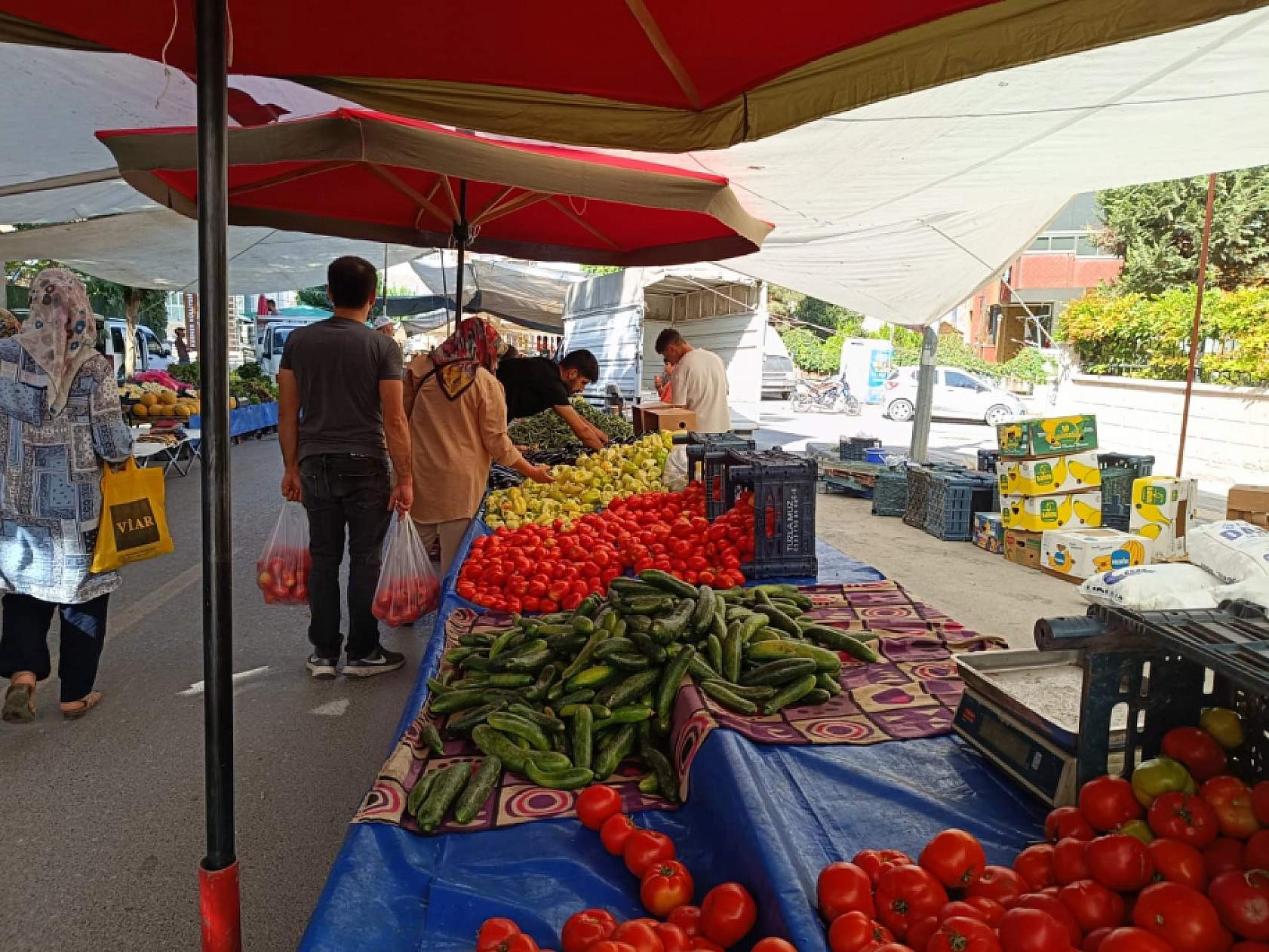 Malatya'da kurutmalık ve salçalık domates ile biber tezgahlarda yerini aldı! Peki fiyatları ne kadar?