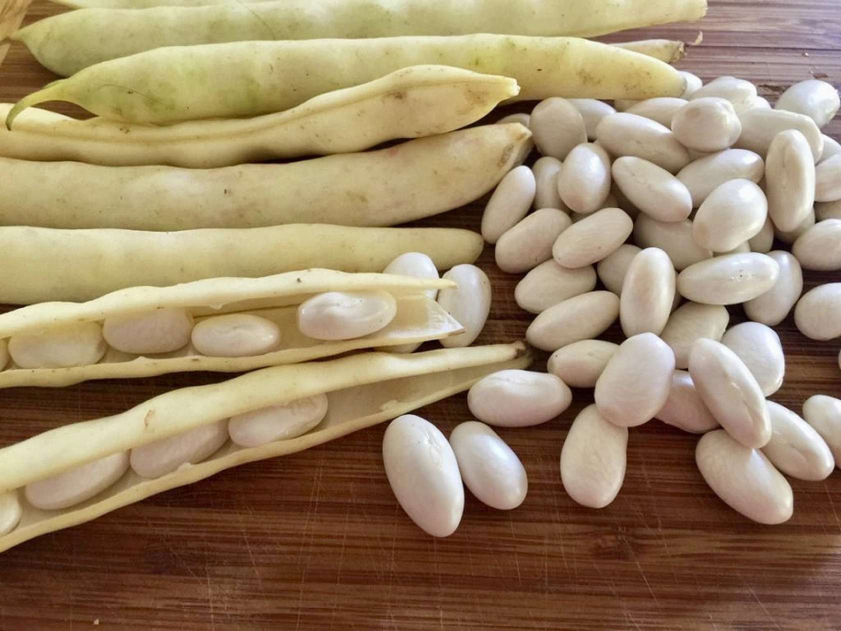 Malatya'da Destek Ödemeleri Arttırıldı…! Dekar Başına Güncel Fiyatlar Açıklandı…