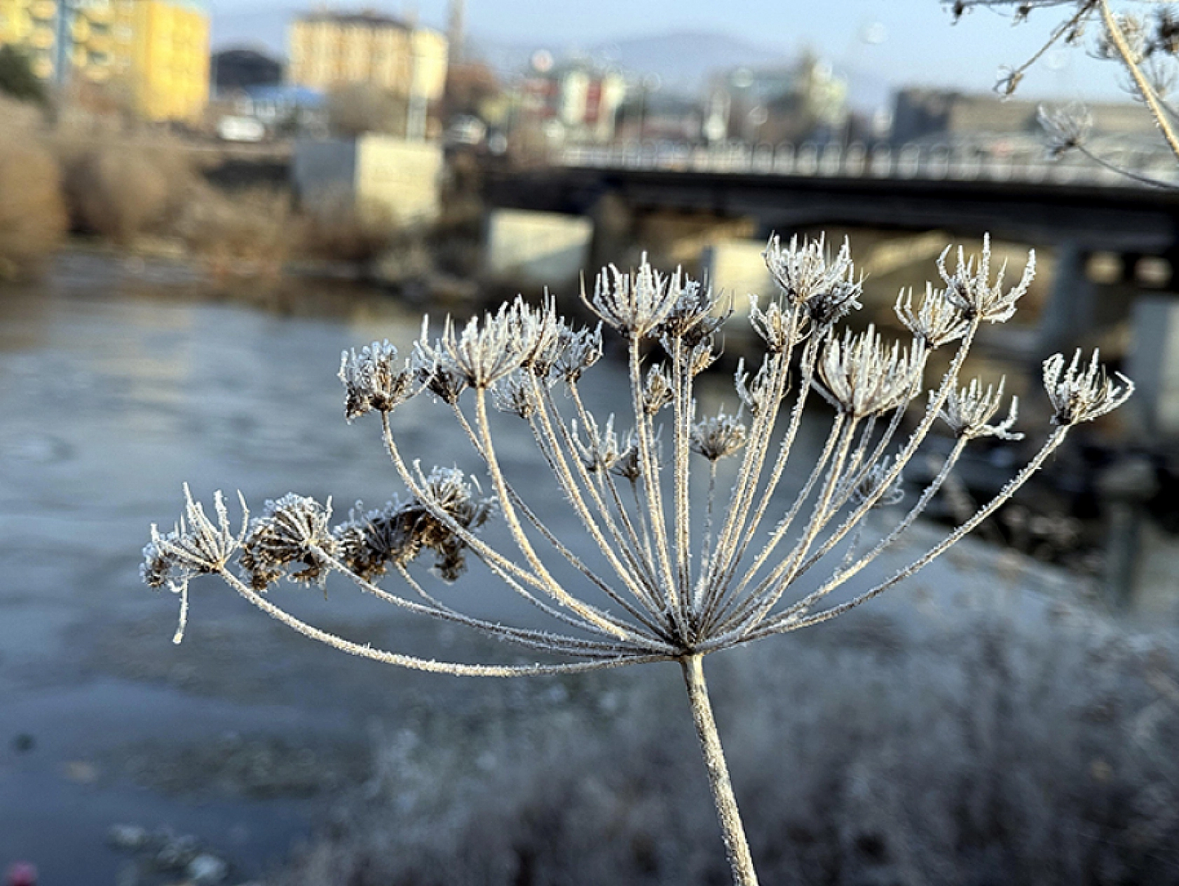 Malatyalılar Dikkat! Meteorolojiden Kuvvetli Yağış ve Kar Uyarısı!