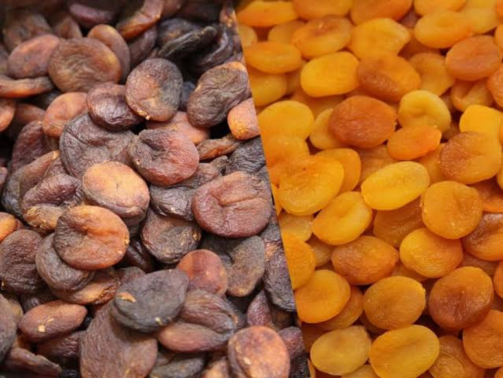 Malatyalılar Müjde…! Beklenen Haber Geldi.. TMO Kayısı Alımı Yapacak İşte Detaylar…