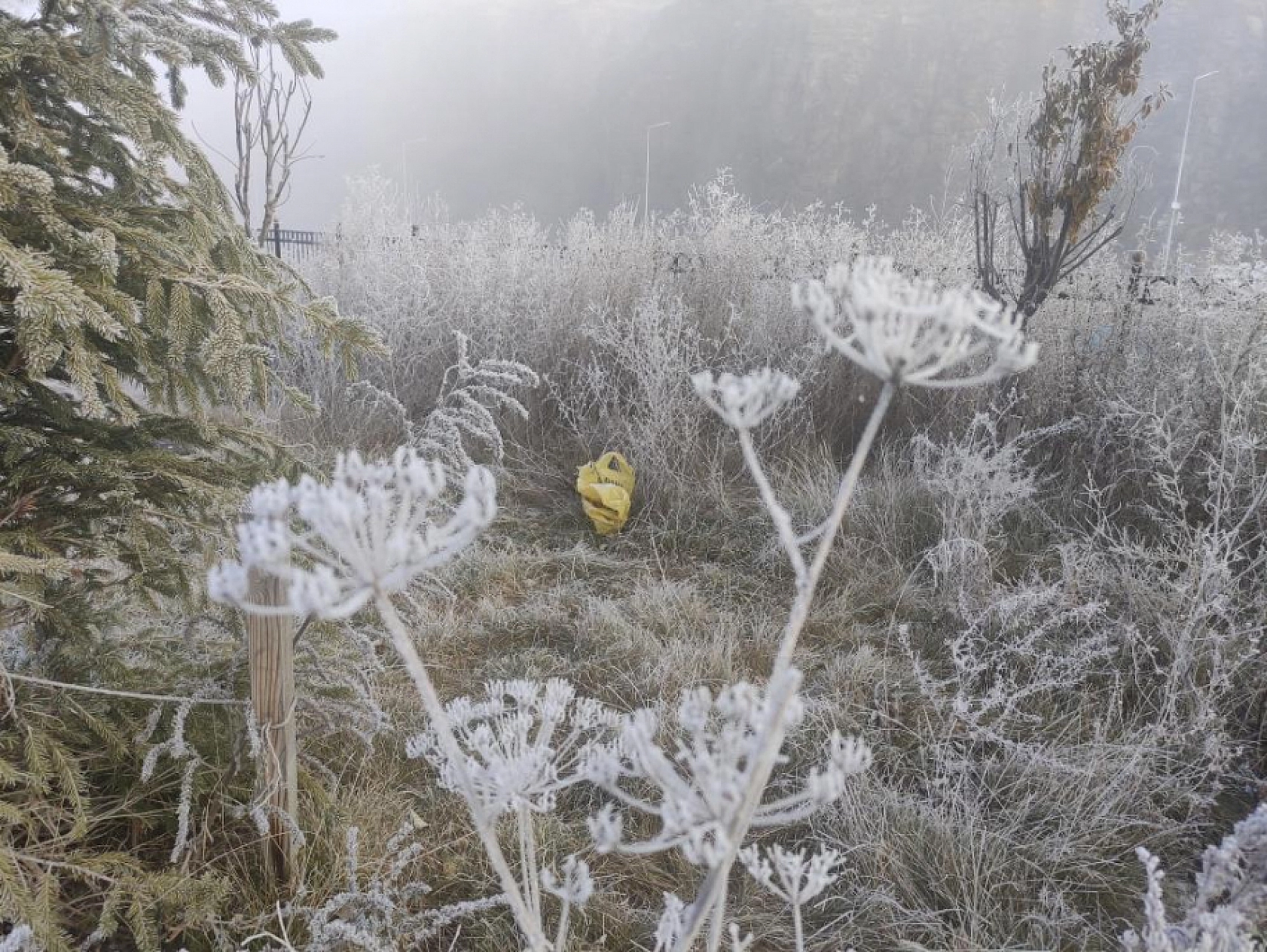 Malatya'da Buzlanma ve Sis Etkili Olacak! İşte Hava Durumu Tahmini...