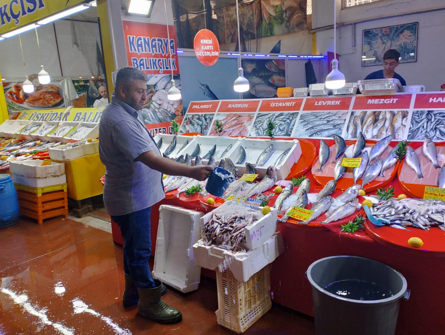 Malatya'da balık fiyatları dibi gördü: Fiyatlar 100 TL'ye düştü