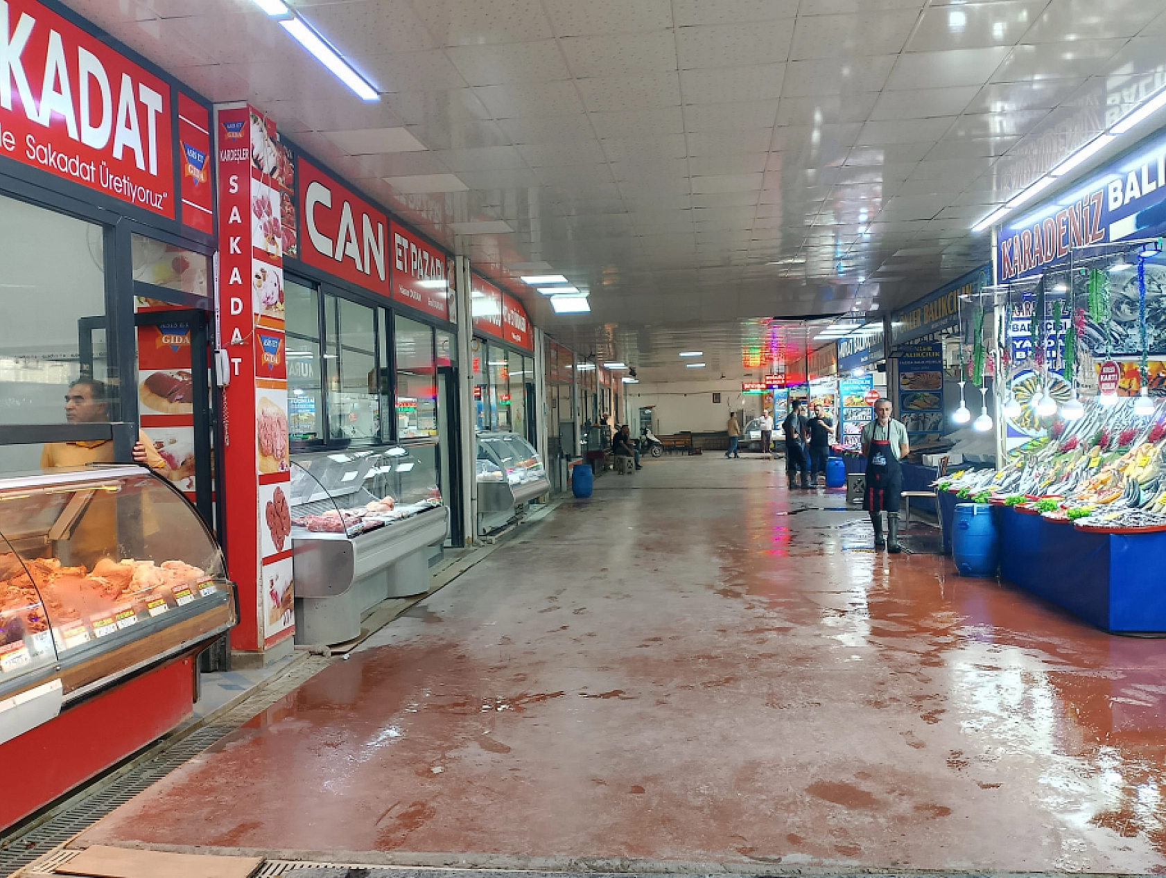 Malatya'da balık fiyatları dibi gördü: Fiyatlar 100 TL'ye düştü
