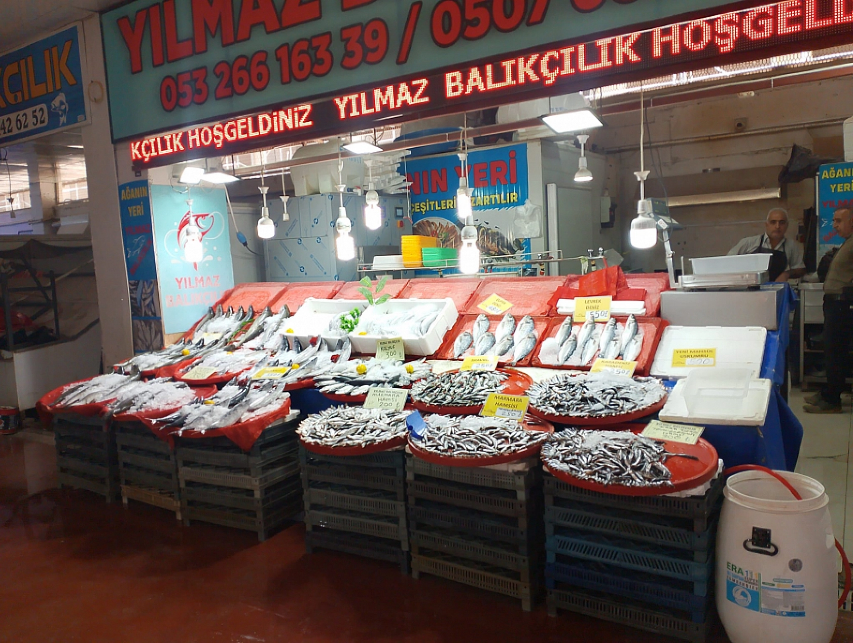 Malatya'da balık fiyatları dibi gördü: Fiyatlar 100 TL'ye düştü