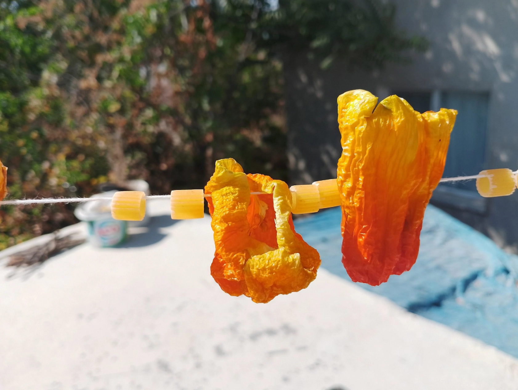 Malatya'da Kış Hazırlıkları Başladı: Kurutmalıklar Damları ve Balkonları Renklendirdi