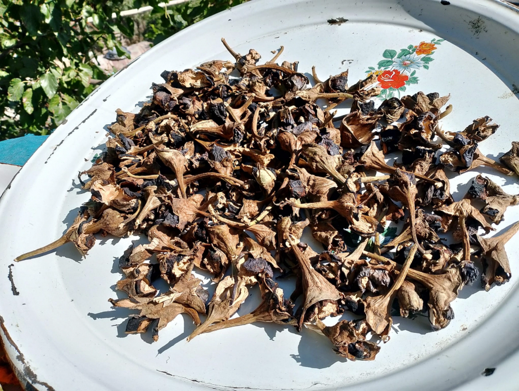 Malatya'da Kış Hazırlıkları Başladı: Kurutmalıklar Damları ve Balkonları Renklendirdi