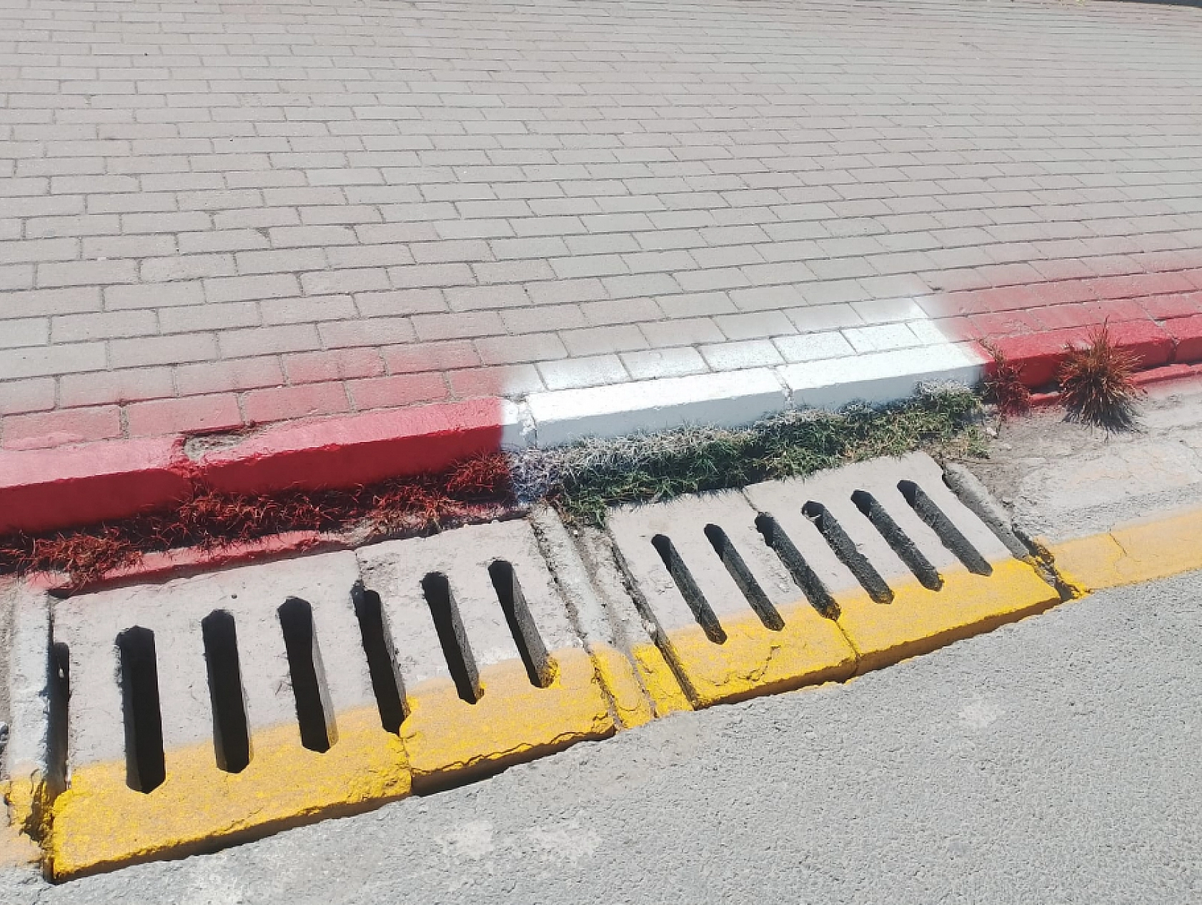 Çarşı projesi kaplumbağa hızında ilerliyordu: Erdoğan'ın ziyareti öncesi seferberlik başladı!