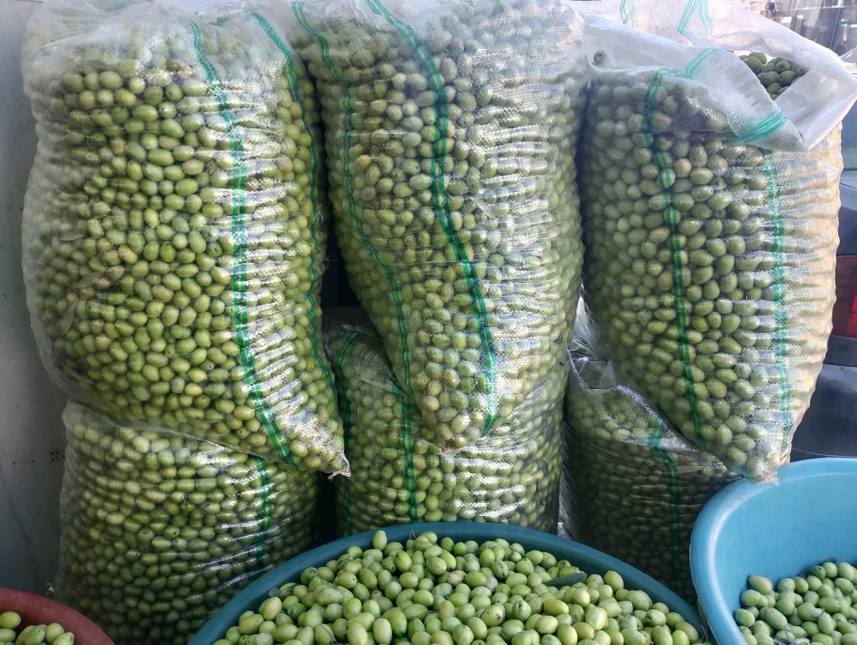 Hatay'da Hasat Edildi! Malatya'nın Gözdesi Oldu: Kilosu 110 TL'den Satışta…