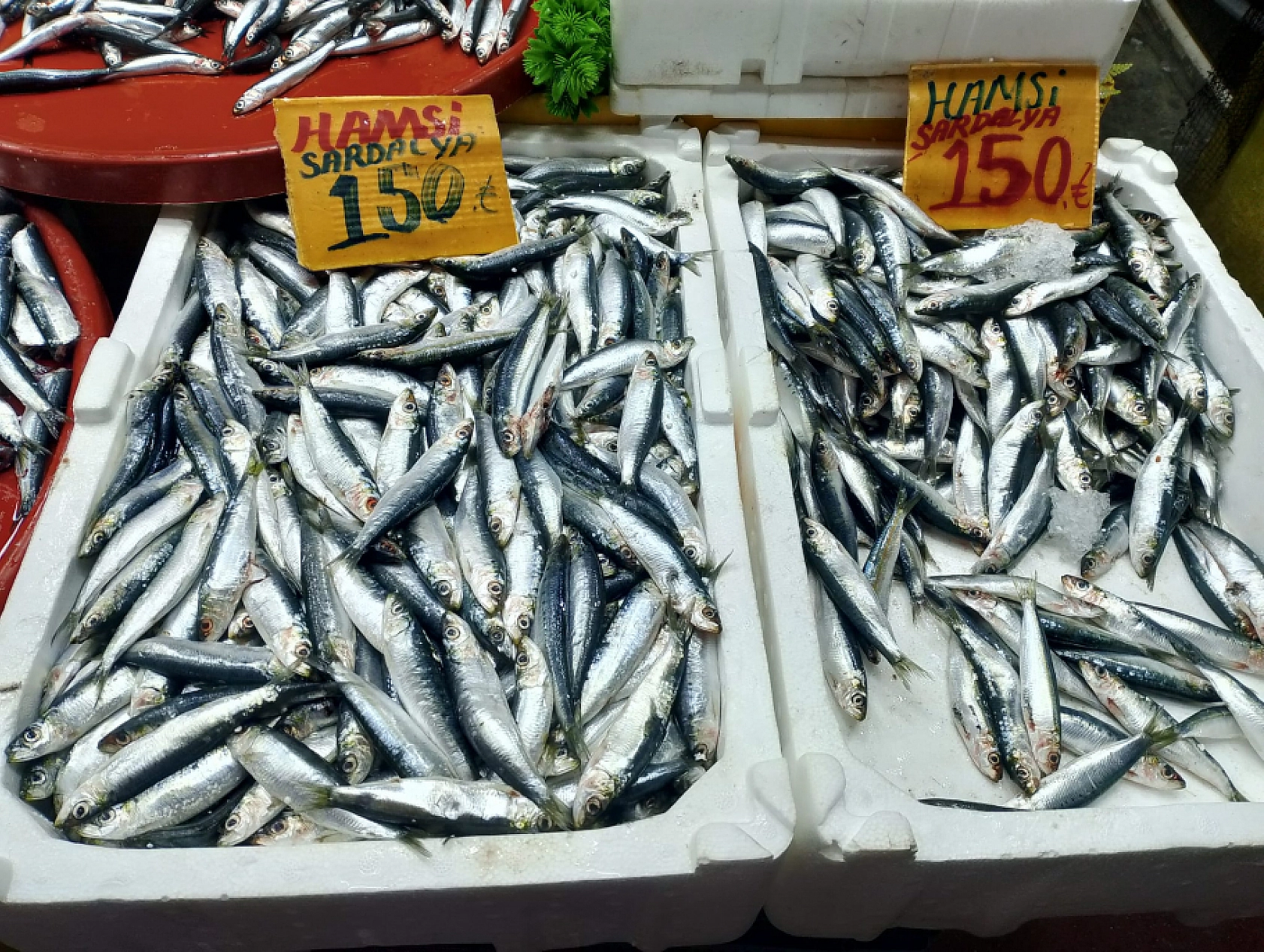 Malatya'da Balık Fiyatları Şaşırttı: İşte Güncel Liste