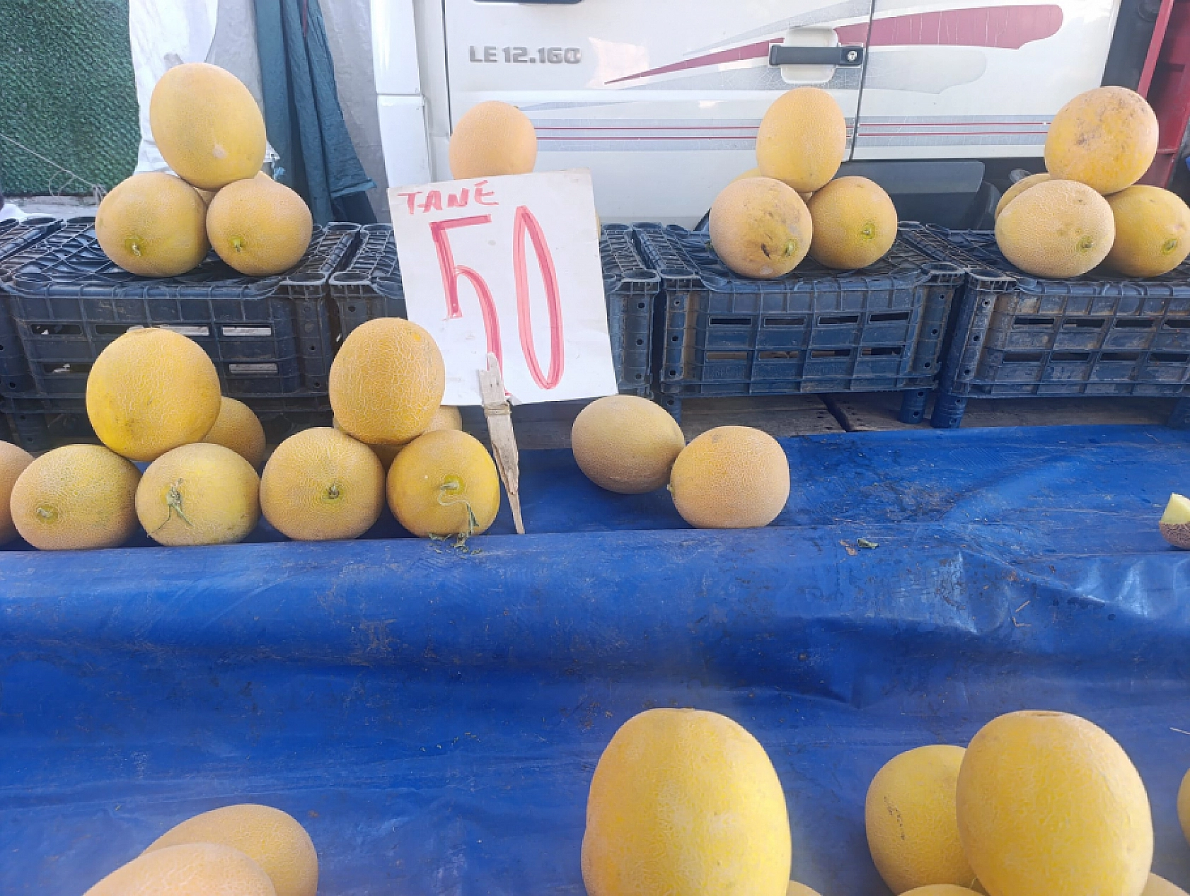 Kilosunu 10 TL'den sattılar! Malatyalılar kapış kapış götürdü