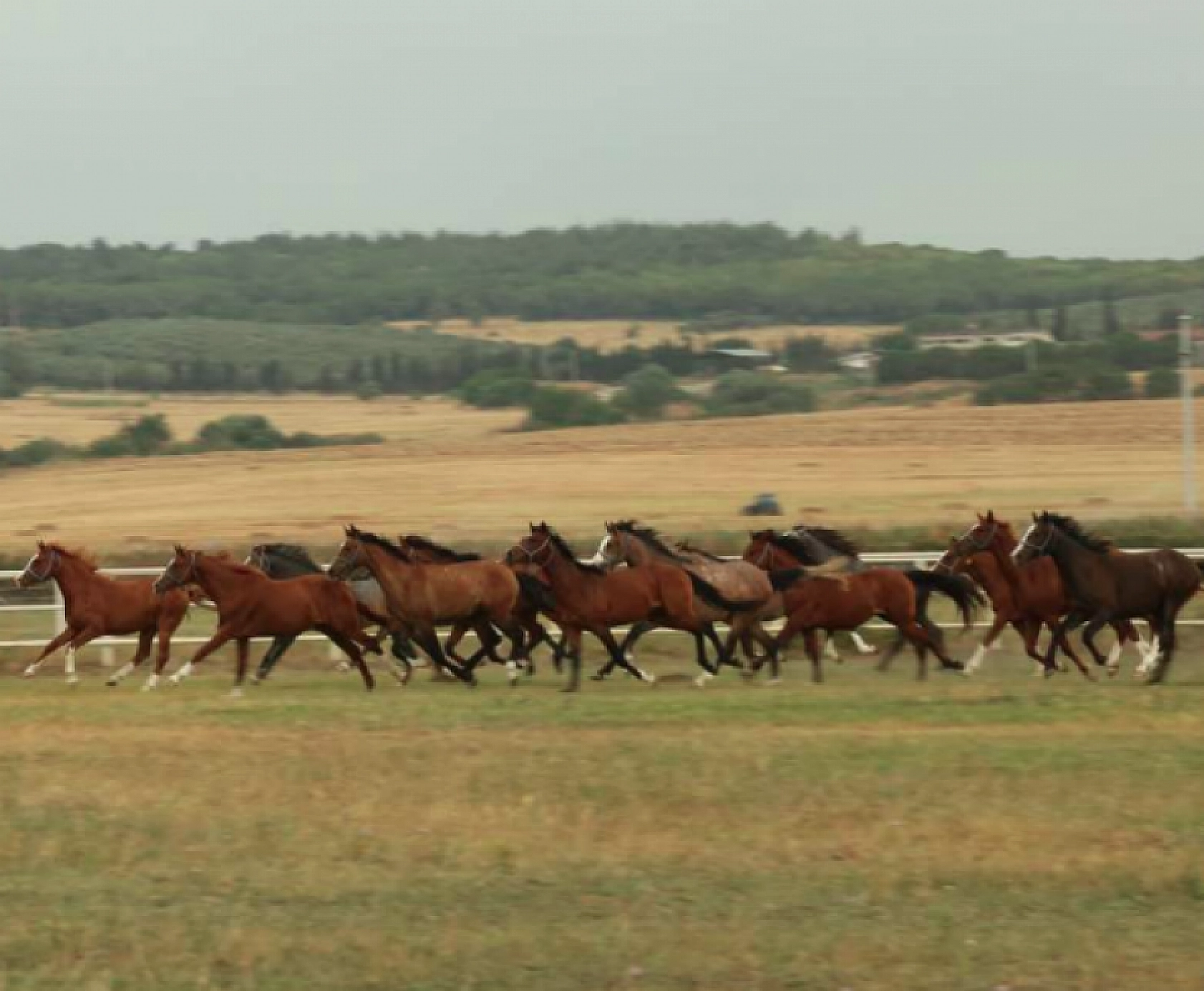 Hayallerinizi Ertelemeyin: Bu İhaleyi Kaçırmayın! İşte Taylar ve Özellikleri...