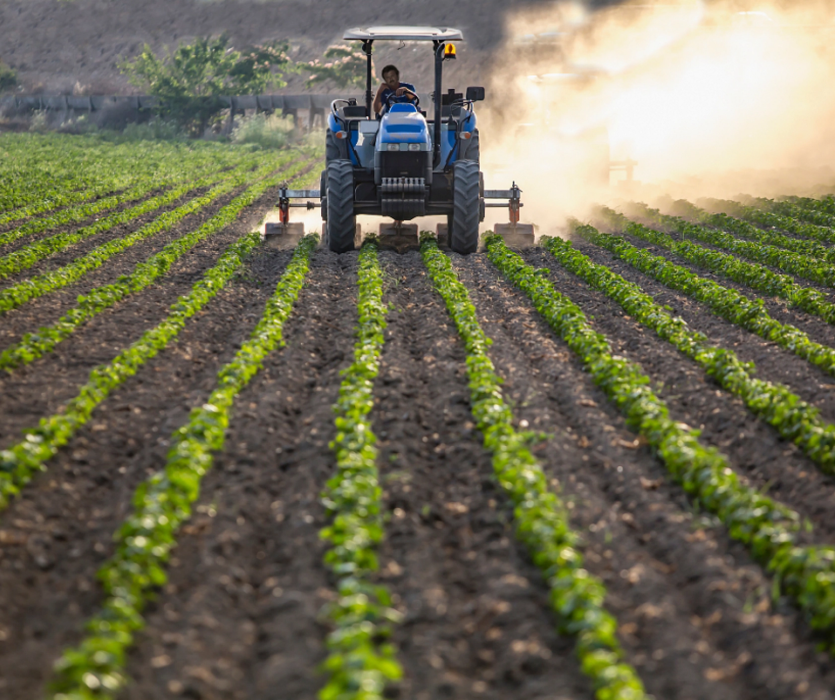 Malatyalı Vatandaşa Can Suyu: 116 Milyon TL'lik Destekleme Ödemesi Yapıldı