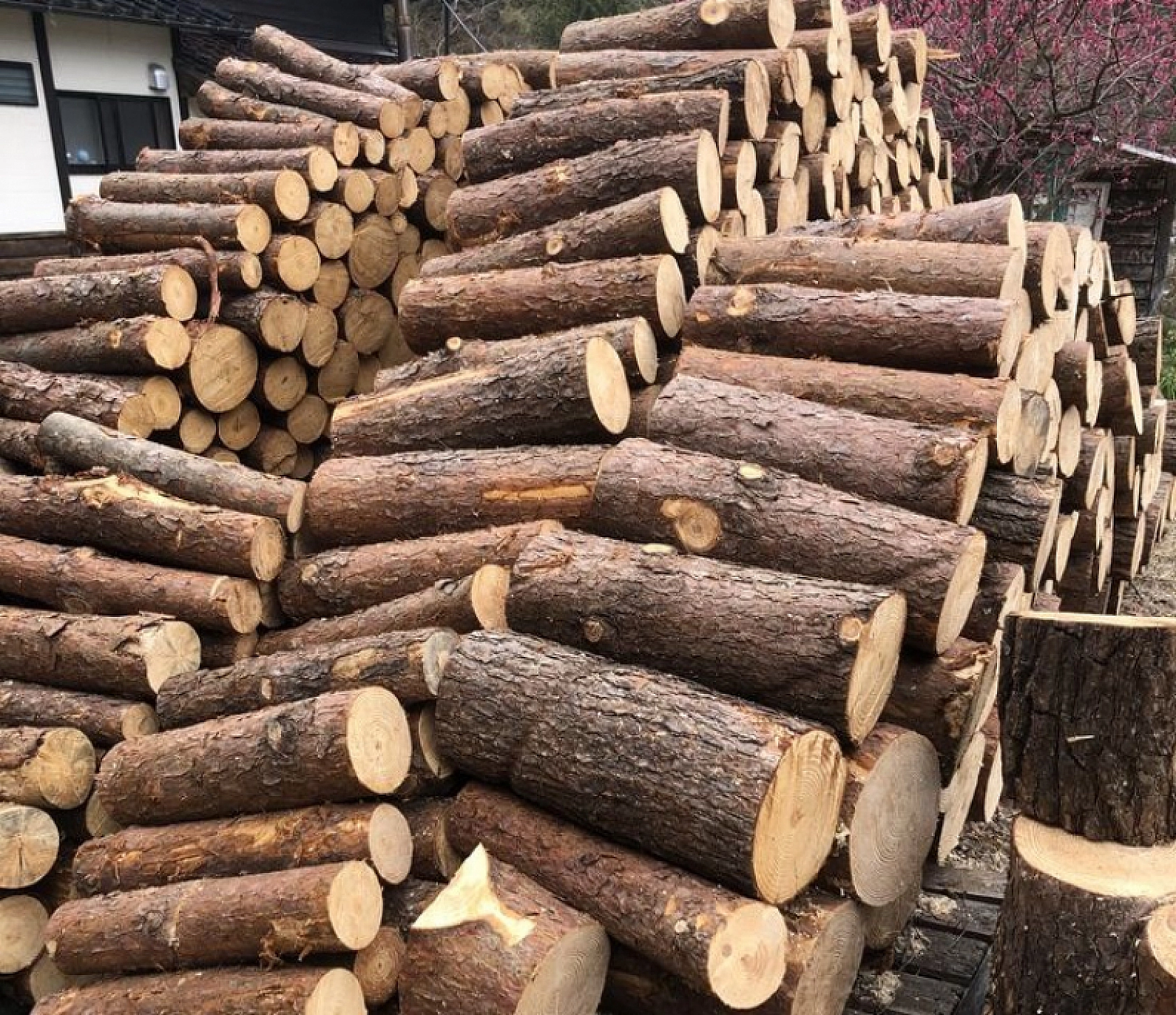 Malatya'da Sobalar Yakılıyor: Peki Odun ve Kömür Fiyatları Cebi Yakıyor Mu?