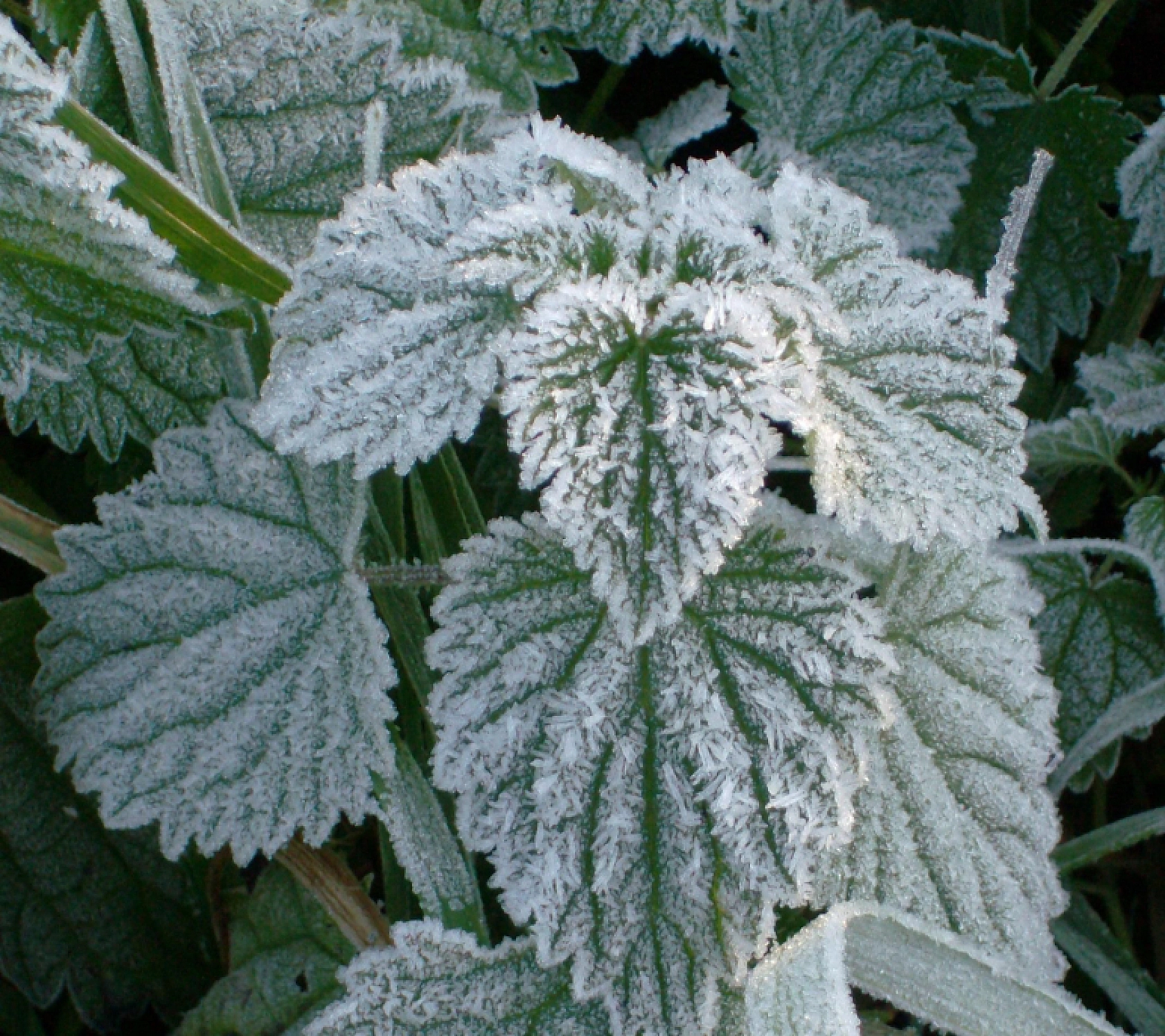 Malatya'da Hava Durumu! 19 Ocak'ta Hava Nasıl Olacak?