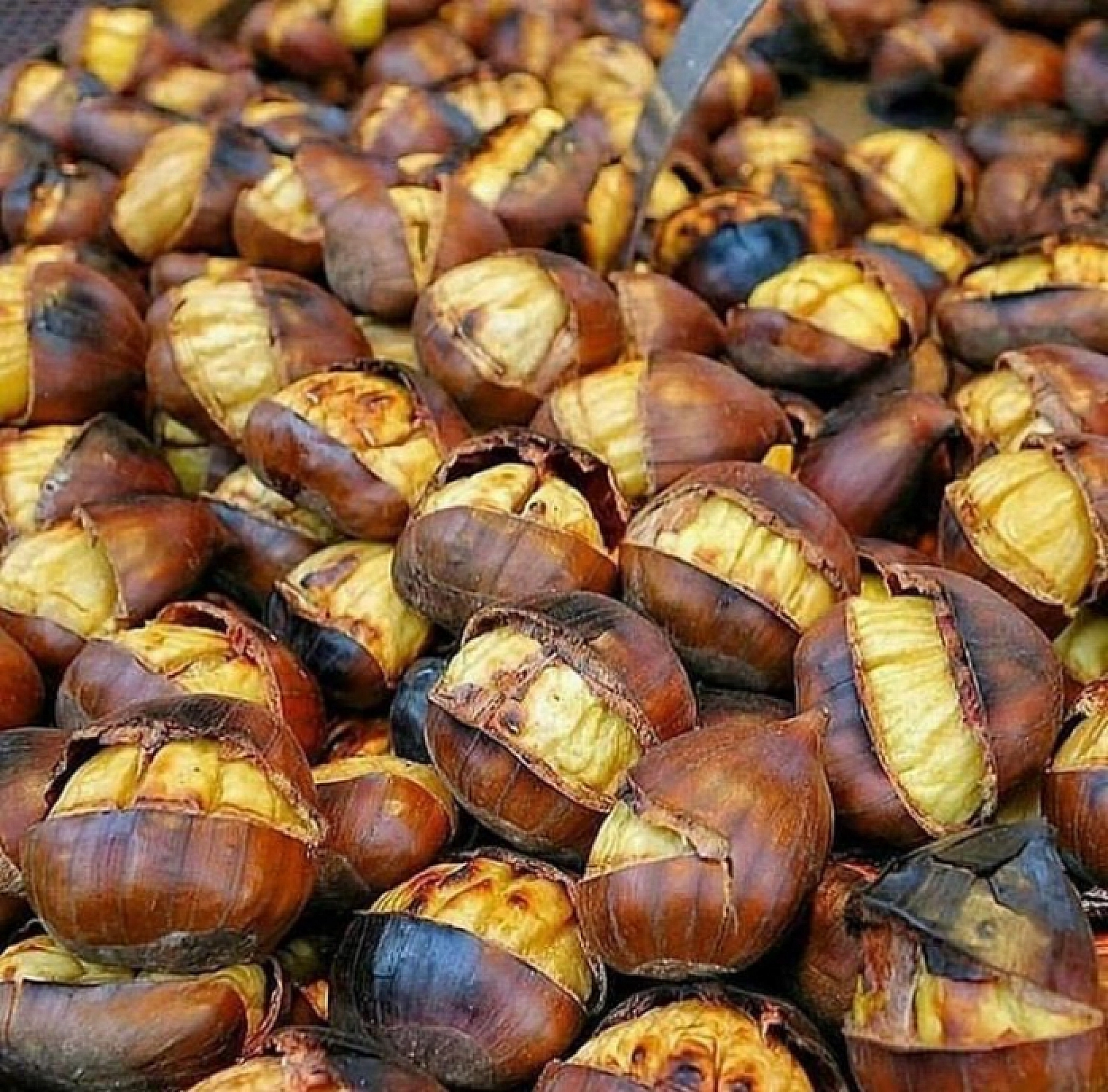 Kış Alışverişlerinde Zirveye Yerleşen O Oldu! En Çok Tercih Edilen Besin Belli Oldu!