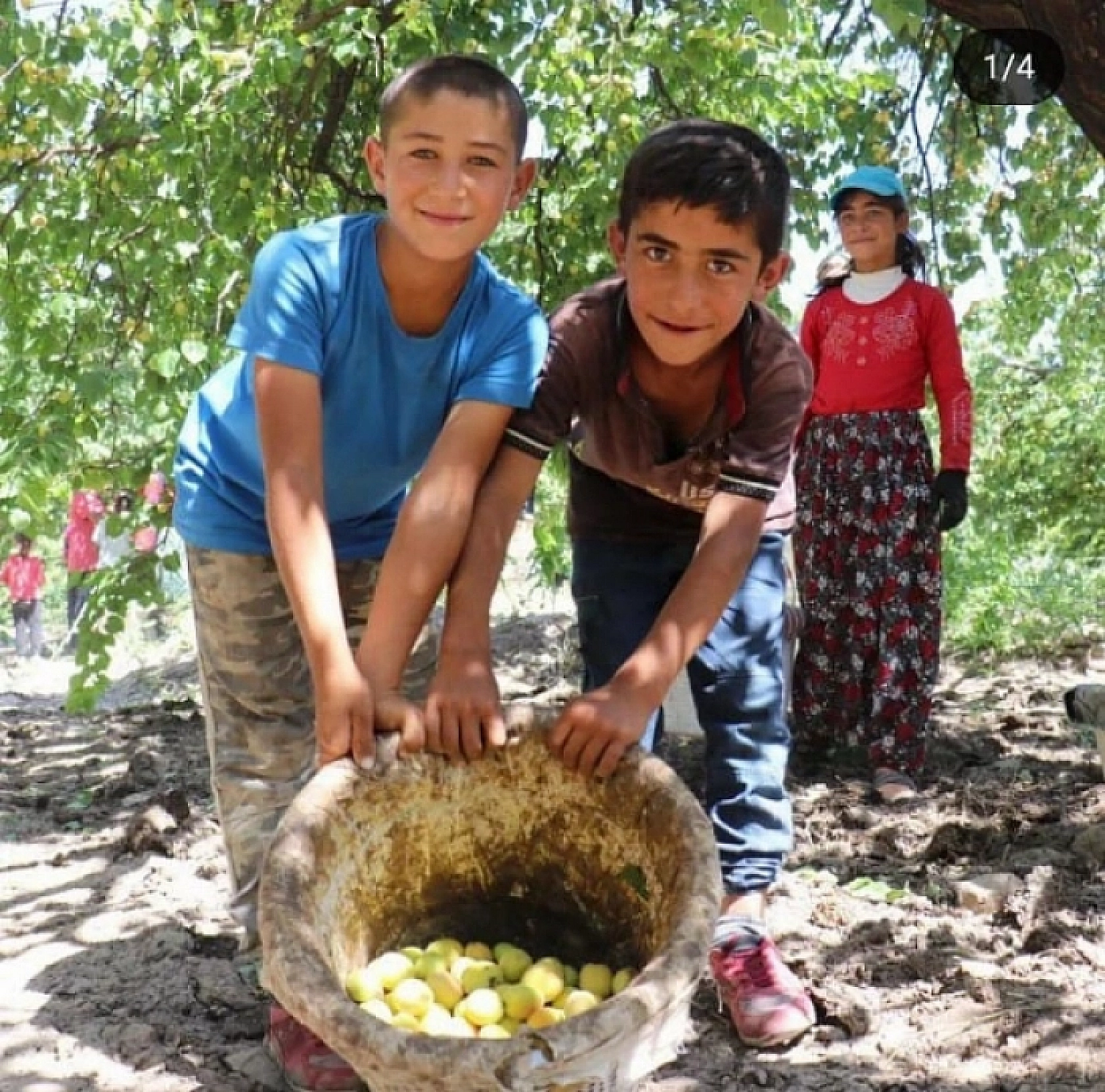 Malatya'da İşçi Yevmiyesi Belli Oldu, En Çok Ücret Veren 10 İl Arasında…!