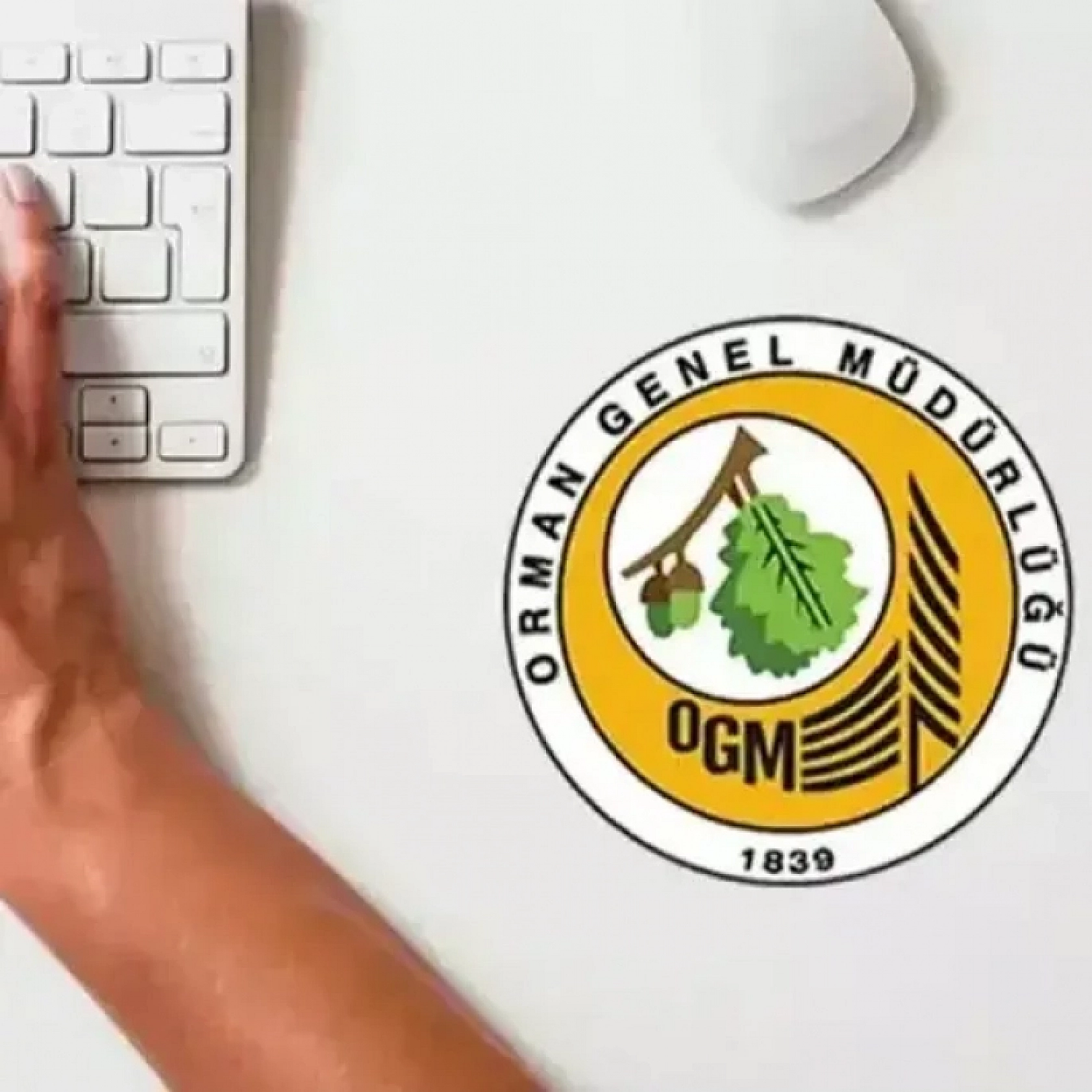 Orman Genel Müdürlüğüne Personel Alımı İçin Geri Sayım Başladı: Mühendis, Şoför ve Büro Memurları Başvuru Yapabilecek...