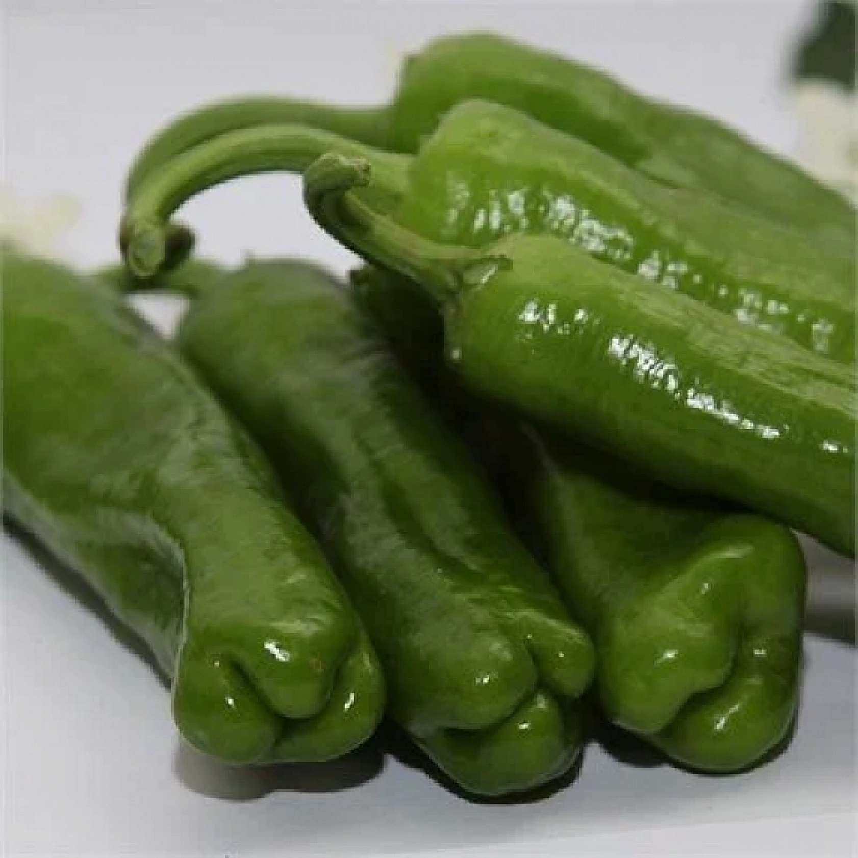 Malatya Hal Pazarı fiyatları açıklandı: Zamlar etiketlere yansıdı mı?