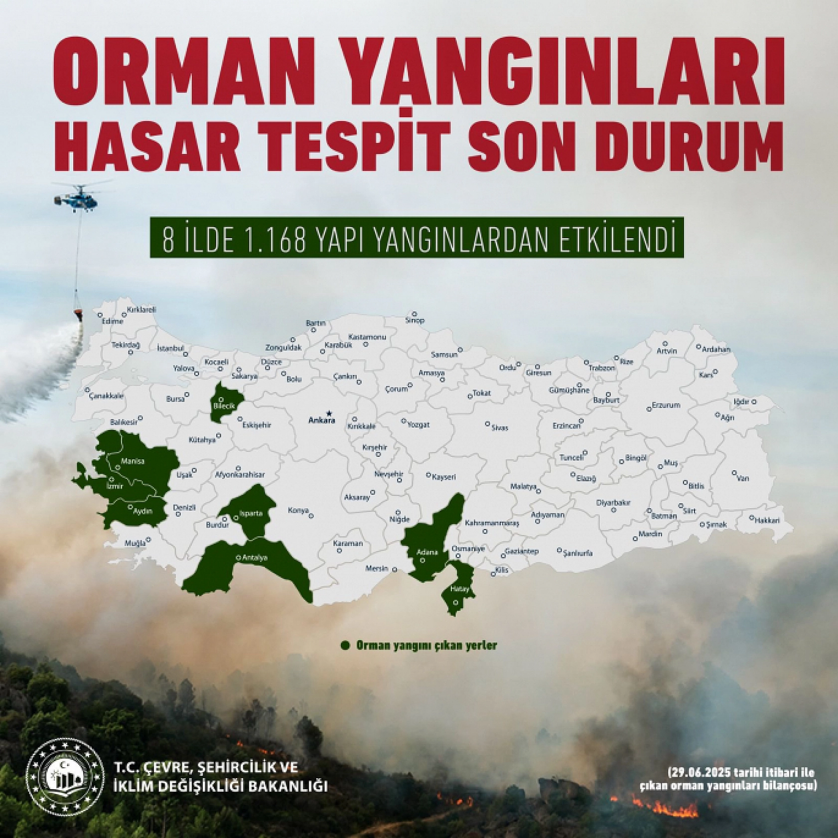 Kurum, yangının bilançosunu açıkladı: İzmir ve Bilecik en çok zarar gören iller oldu