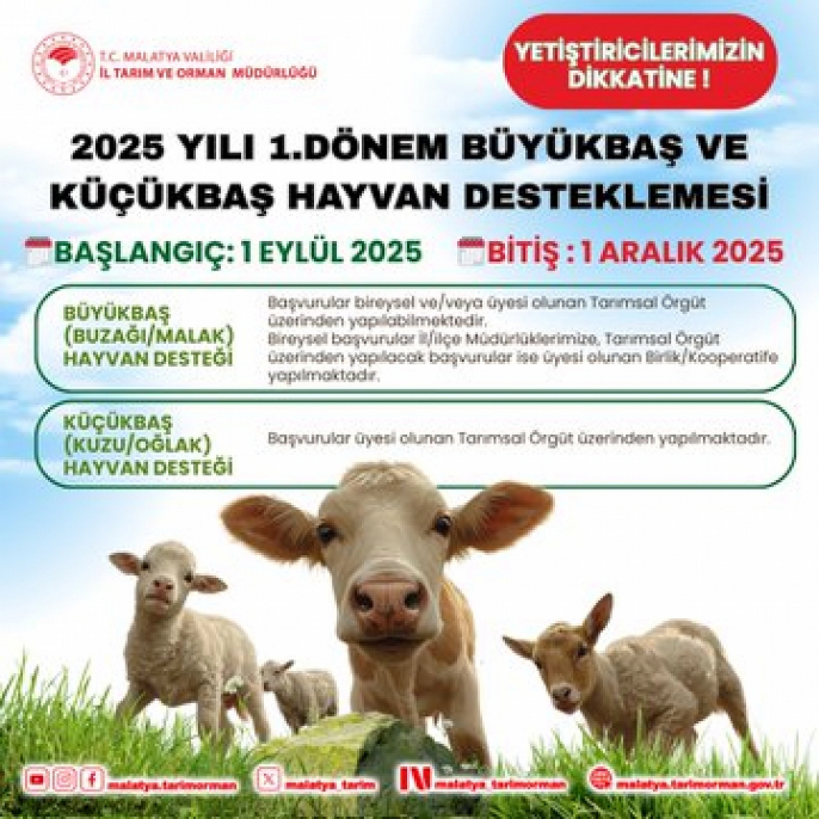 Malatya'ya Dev Destek: 2025 Yılı Destekleme Başvuruları Başlıyor...